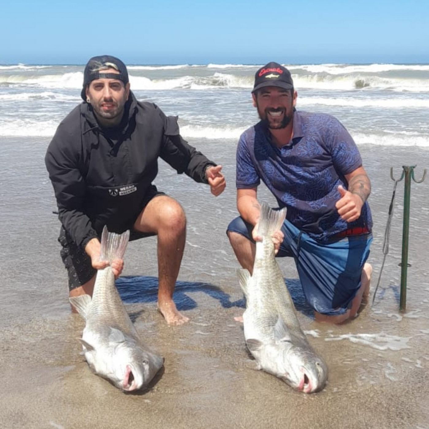 INFOPESCA MDQ