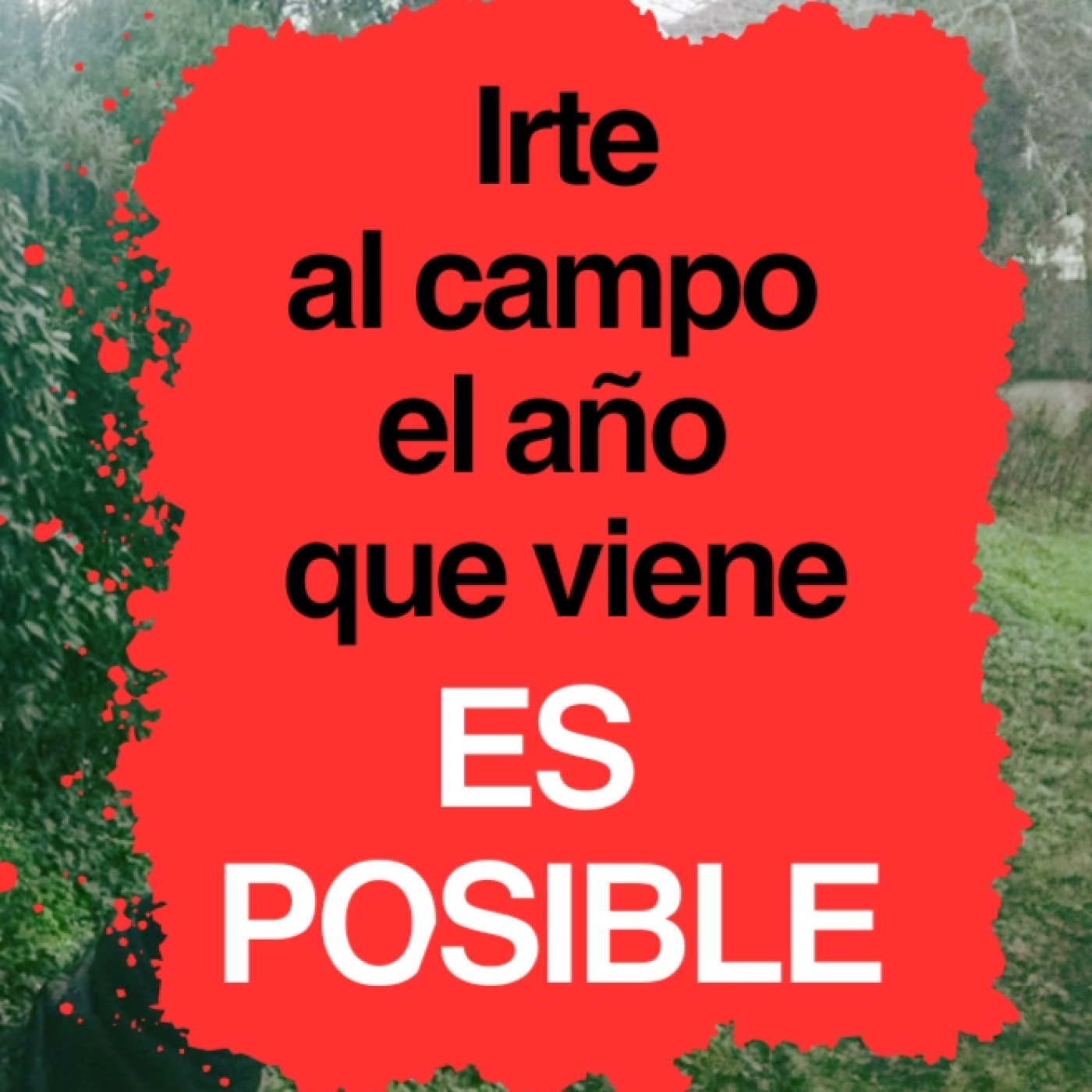 Irte a vivir al campo el año que viene es posible (si haces esto)