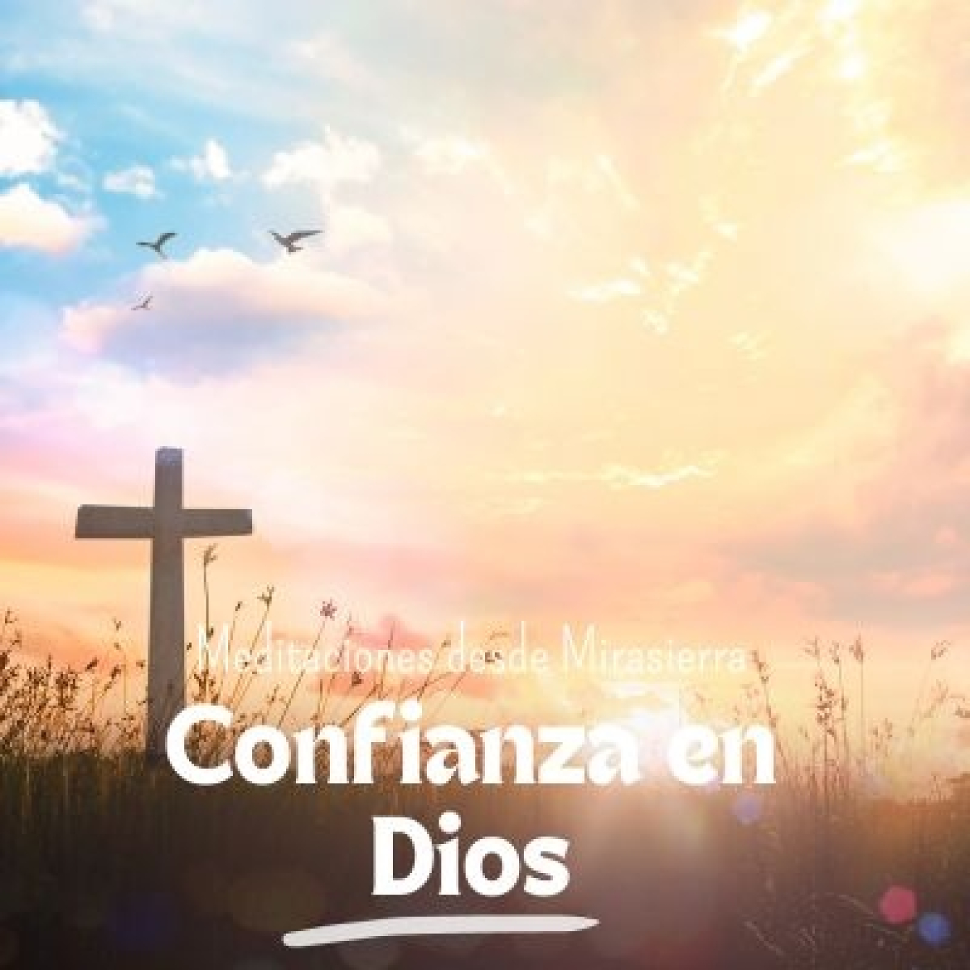Meditaciones desde Mirasierra