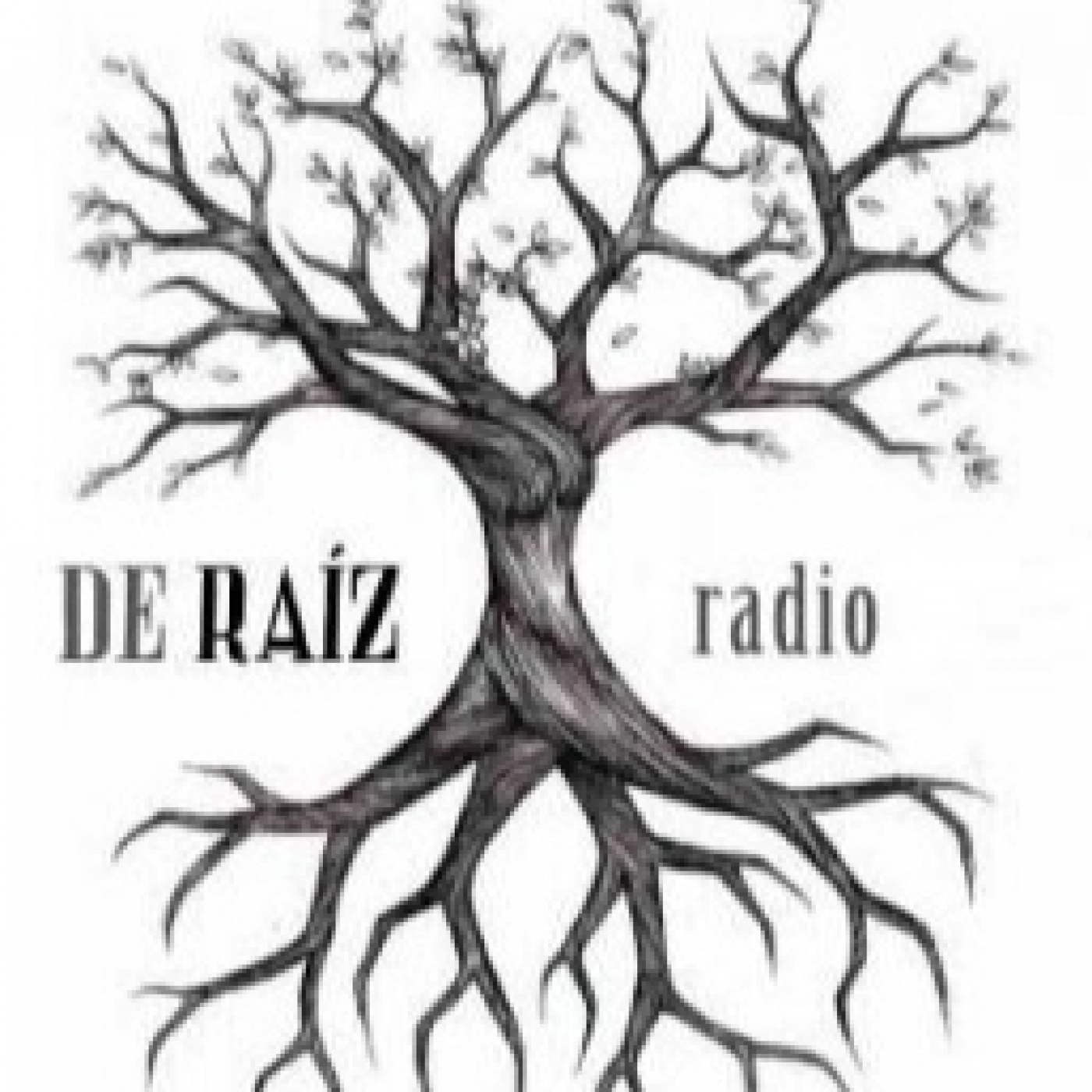 De Raíz #120: Presentación temporada 10, Radio Topo y La plaza de mi pueblo episode artwork