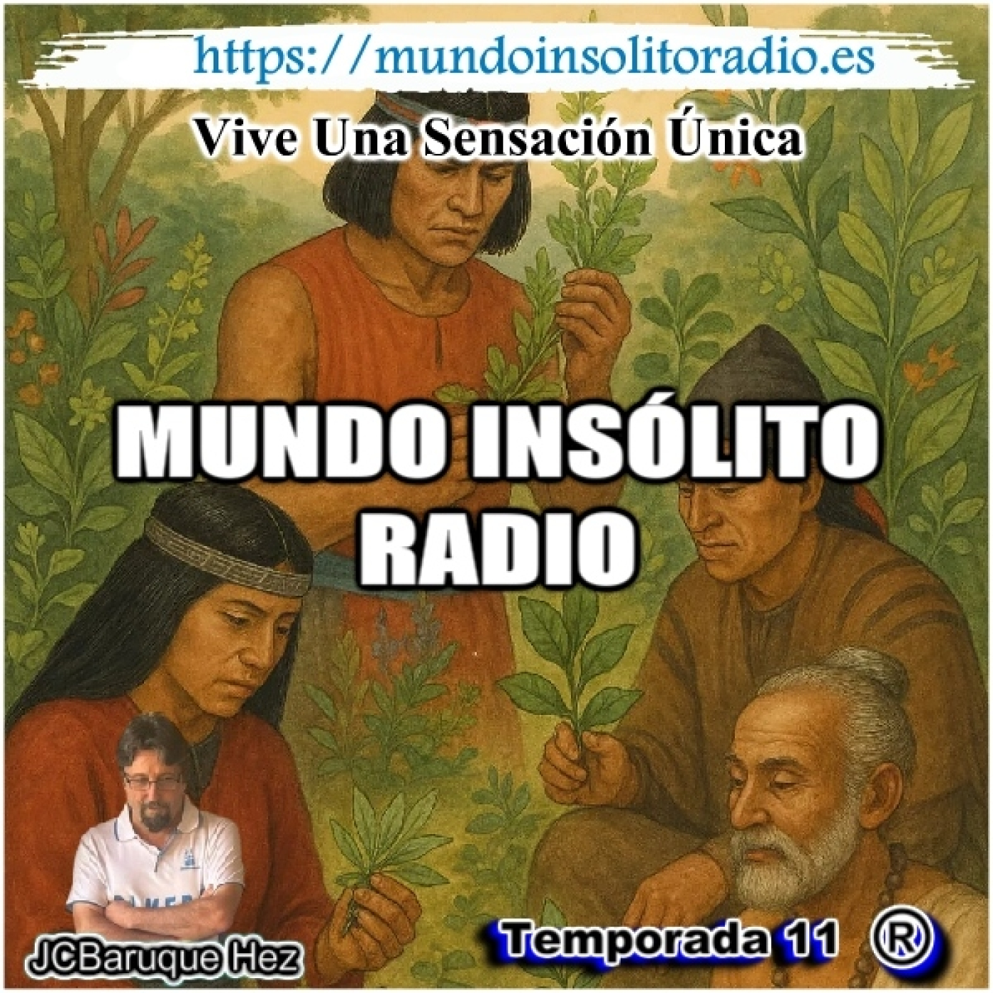 792/11. Plantas medicinales a lo largo de la historia.