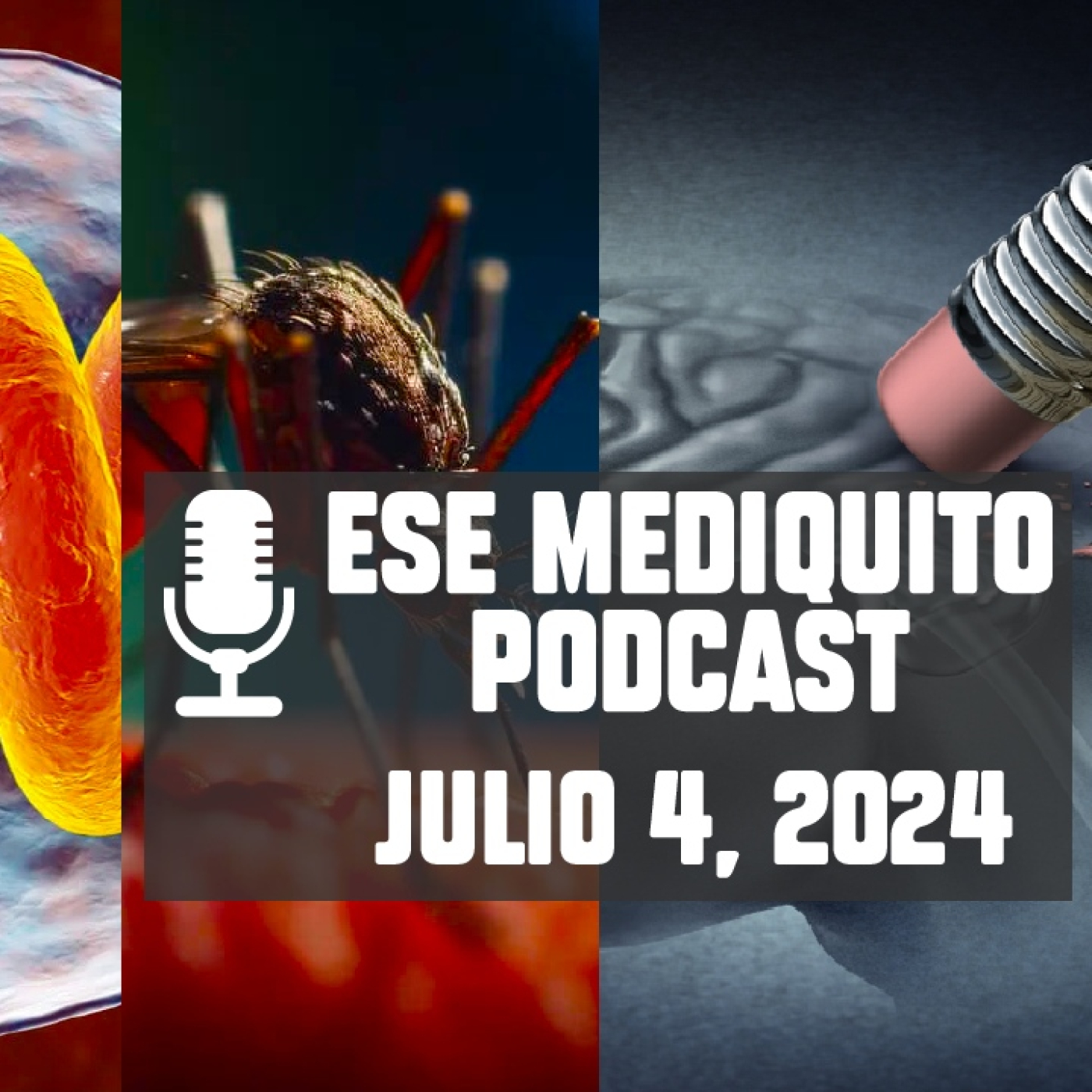 Ese Mediquito