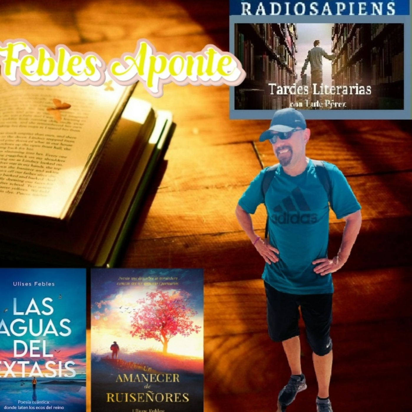 Tardes literarias