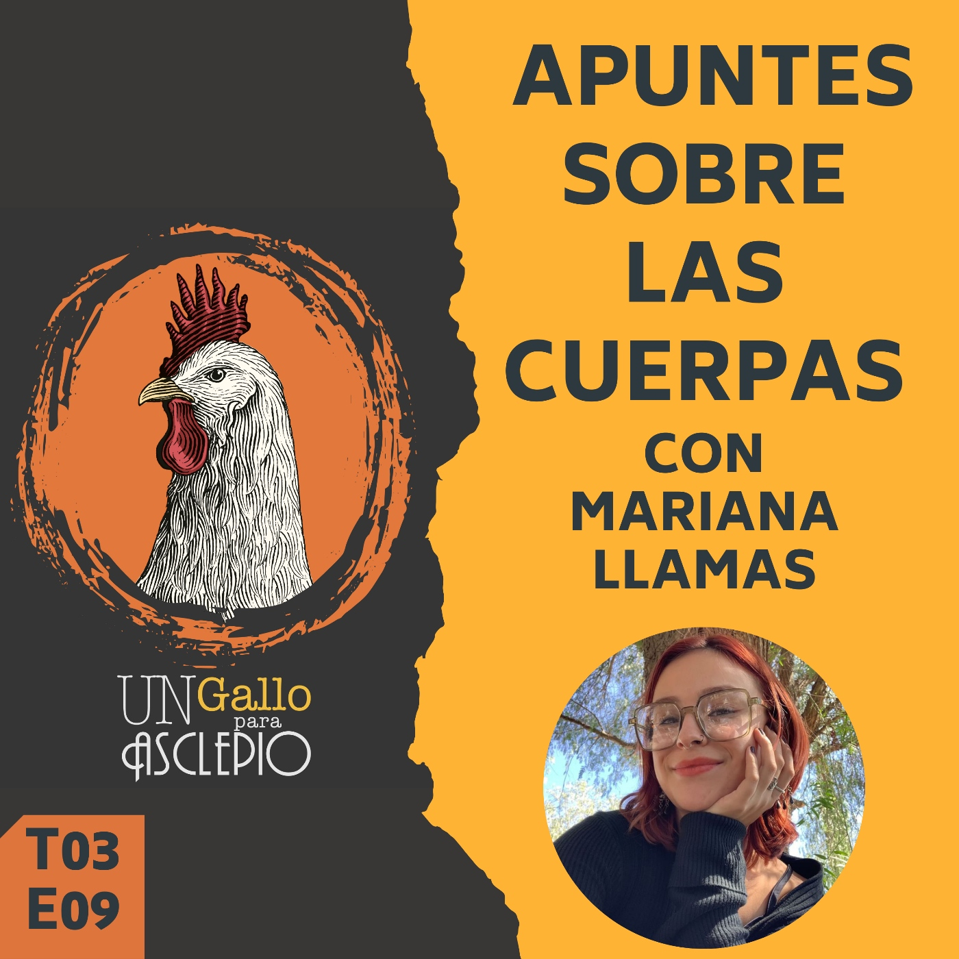 UN GALLO PARA ASCLEPIO