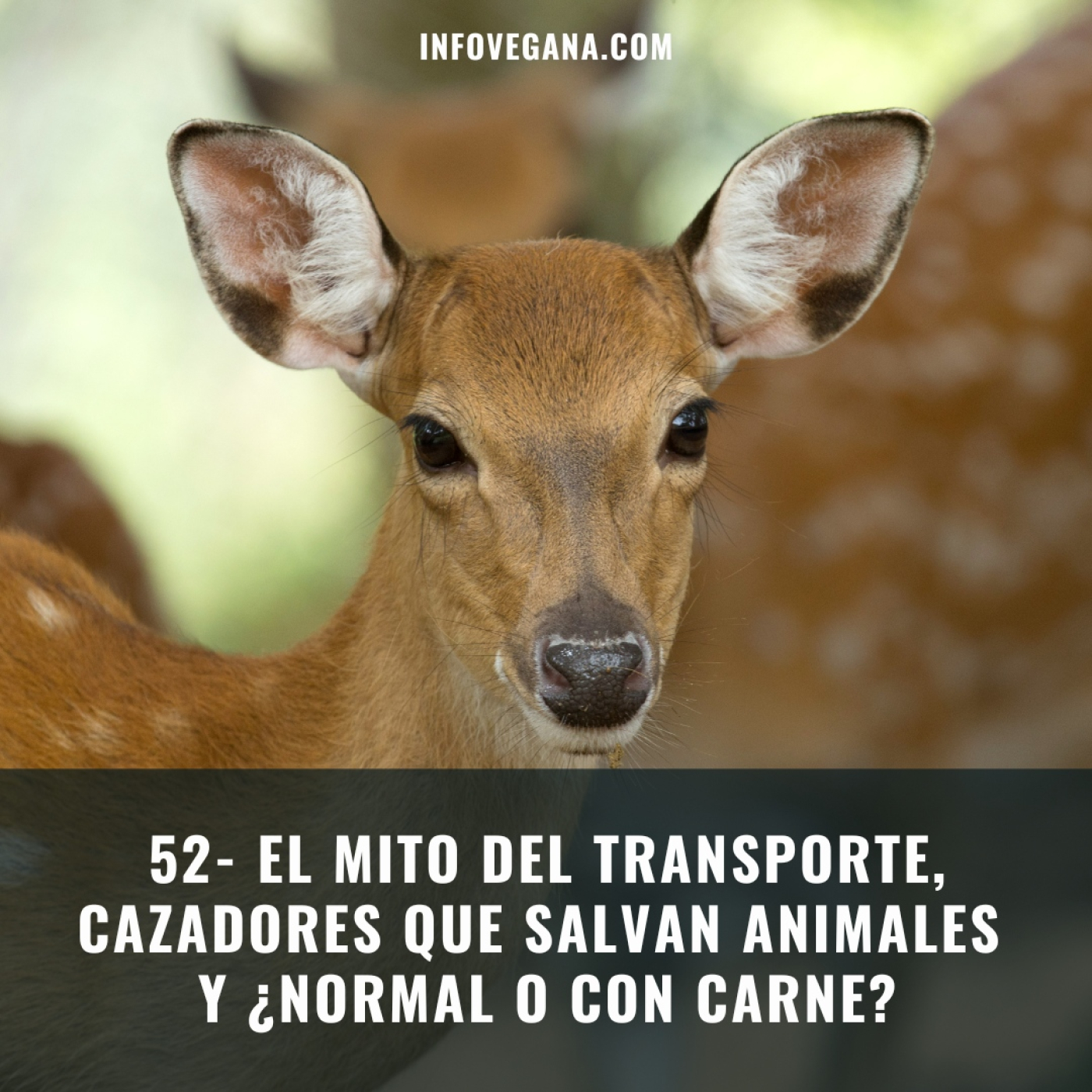 Infovegana, podcast de veganismo y sostenibilidad