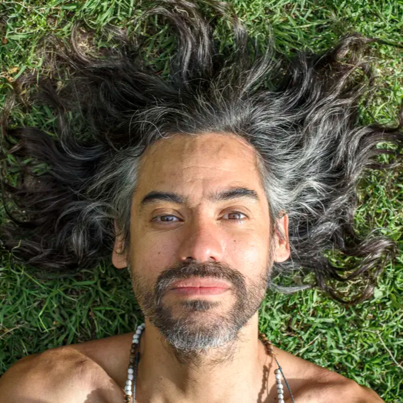 UN CANTO SE HACE AL VIENTO