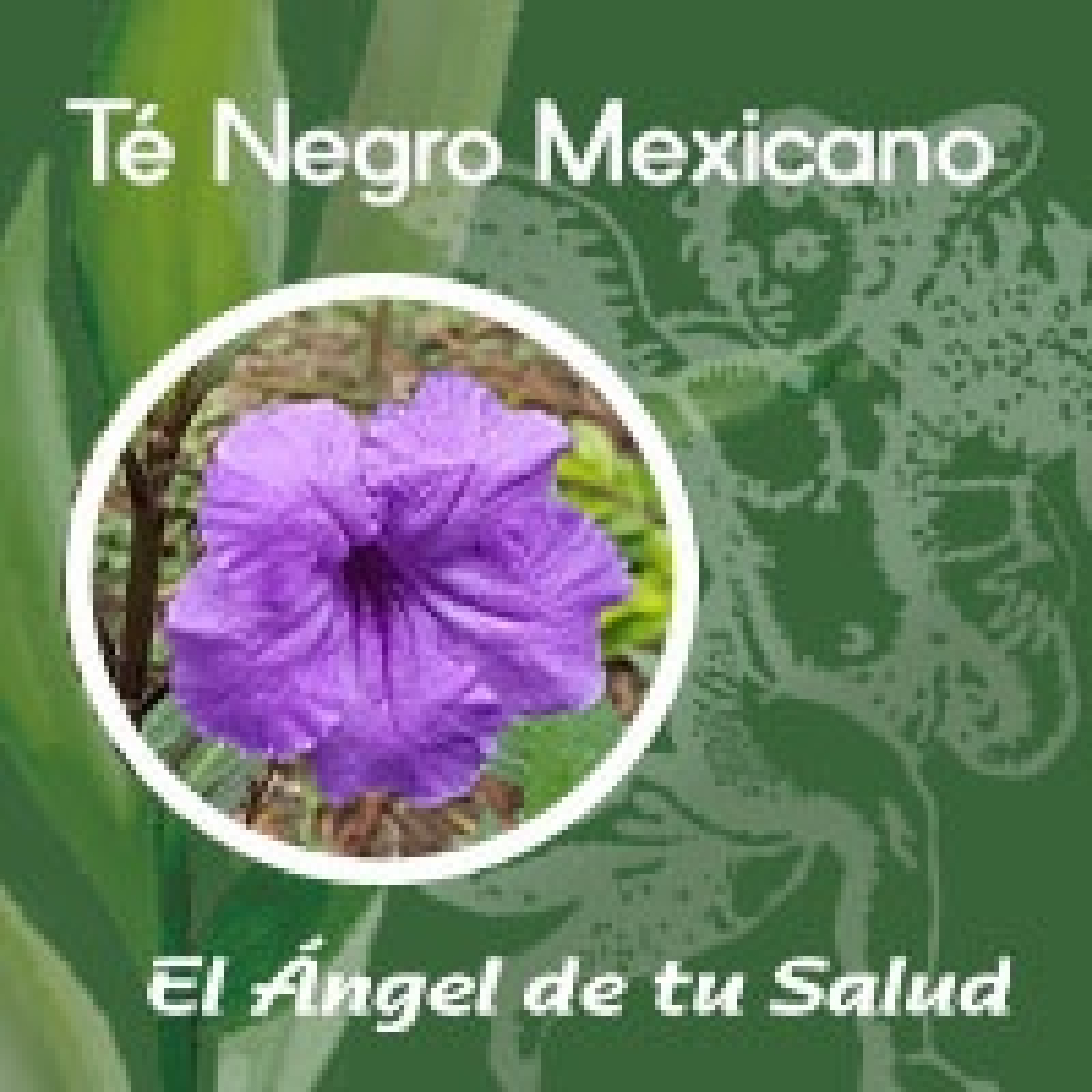 El Ángel de tu Salud - Té Negro Mexicano** episode artwork
