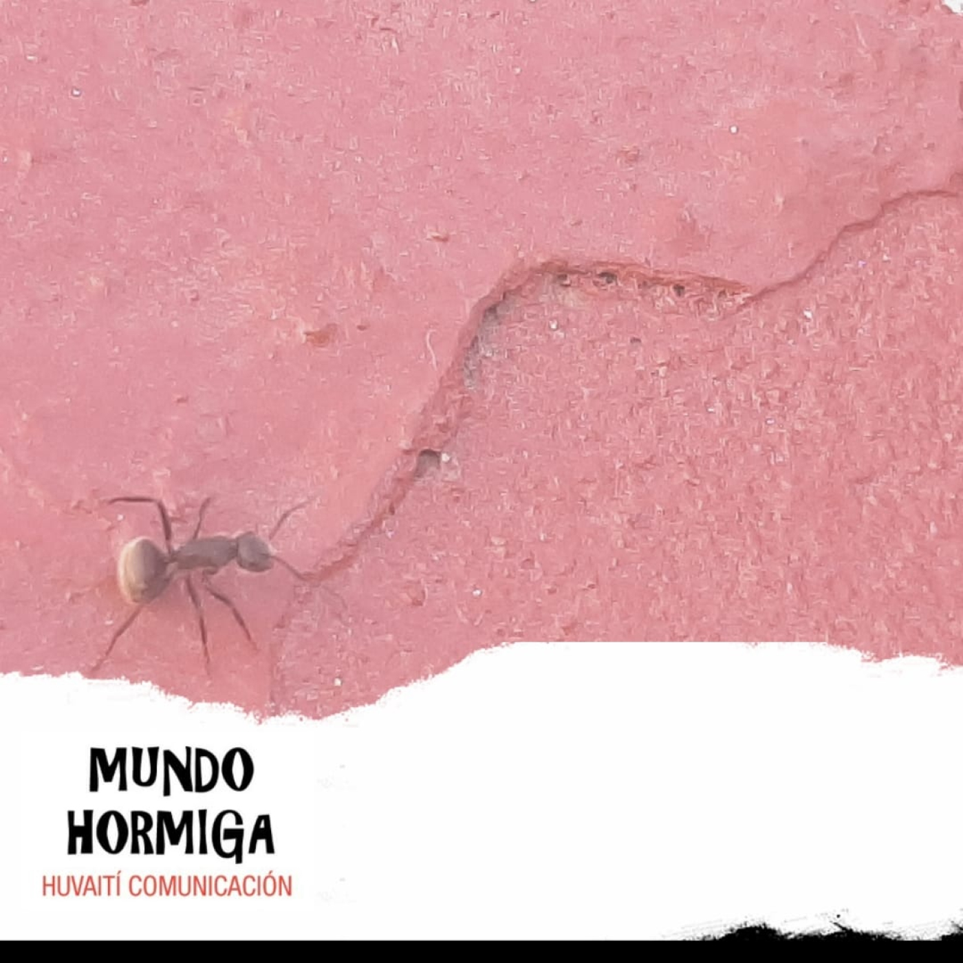 Mundo Hormiga