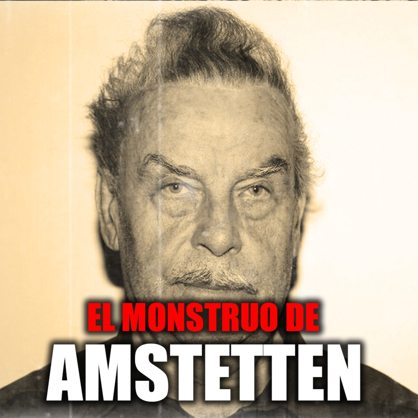 El monstruo de Amstetten: el horror real que mantuvo a su hija 24 años en un ZULO bajo sus pies El monstruo de Amstetten: el horror real que mantuvo a su hija 24 años en un ZULO bajo sus pies