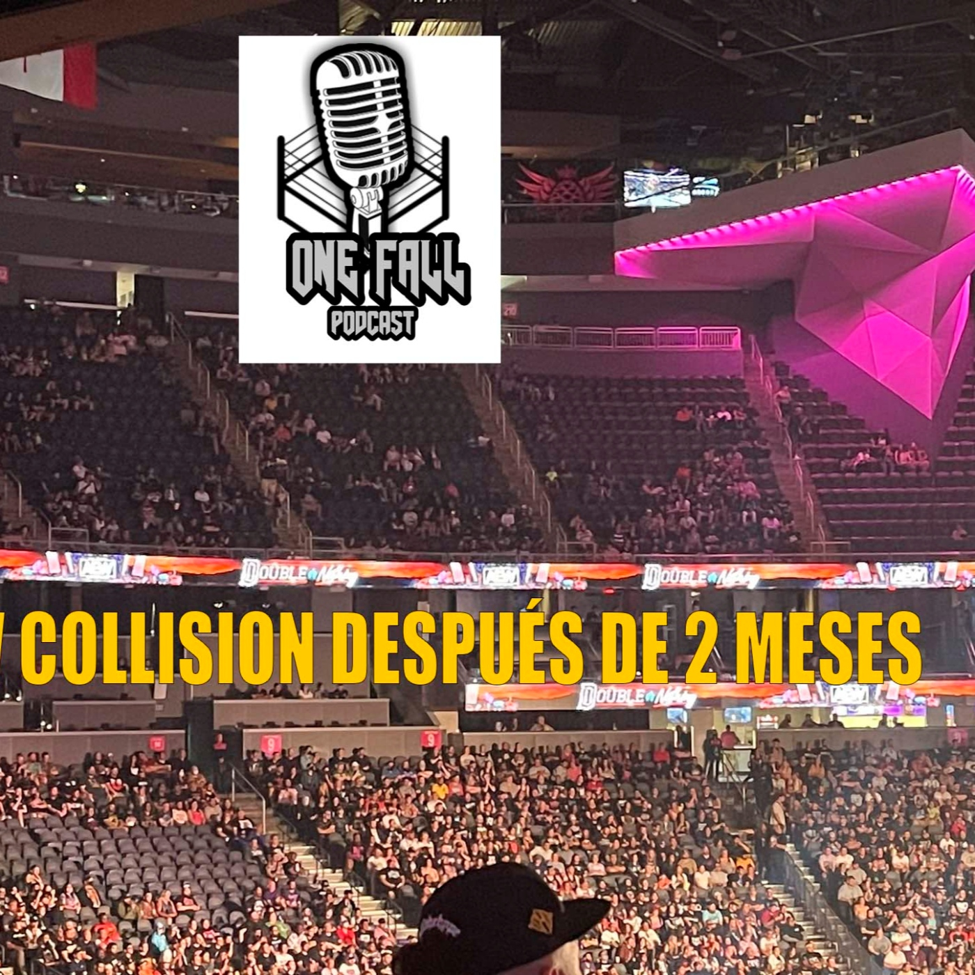 One Fall Podcast # 171 - El Regreso de CM Quitter episode artwork