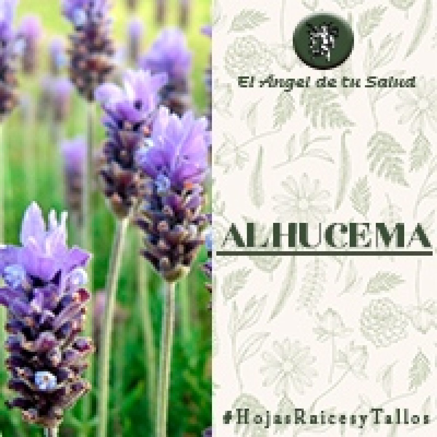 El Ángel de tu Salud - Alhucema** episode artwork