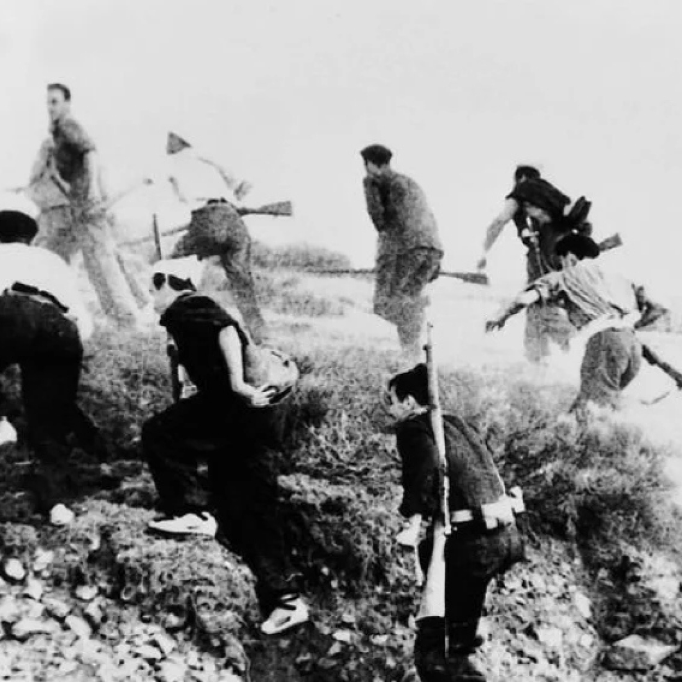Historia TariK