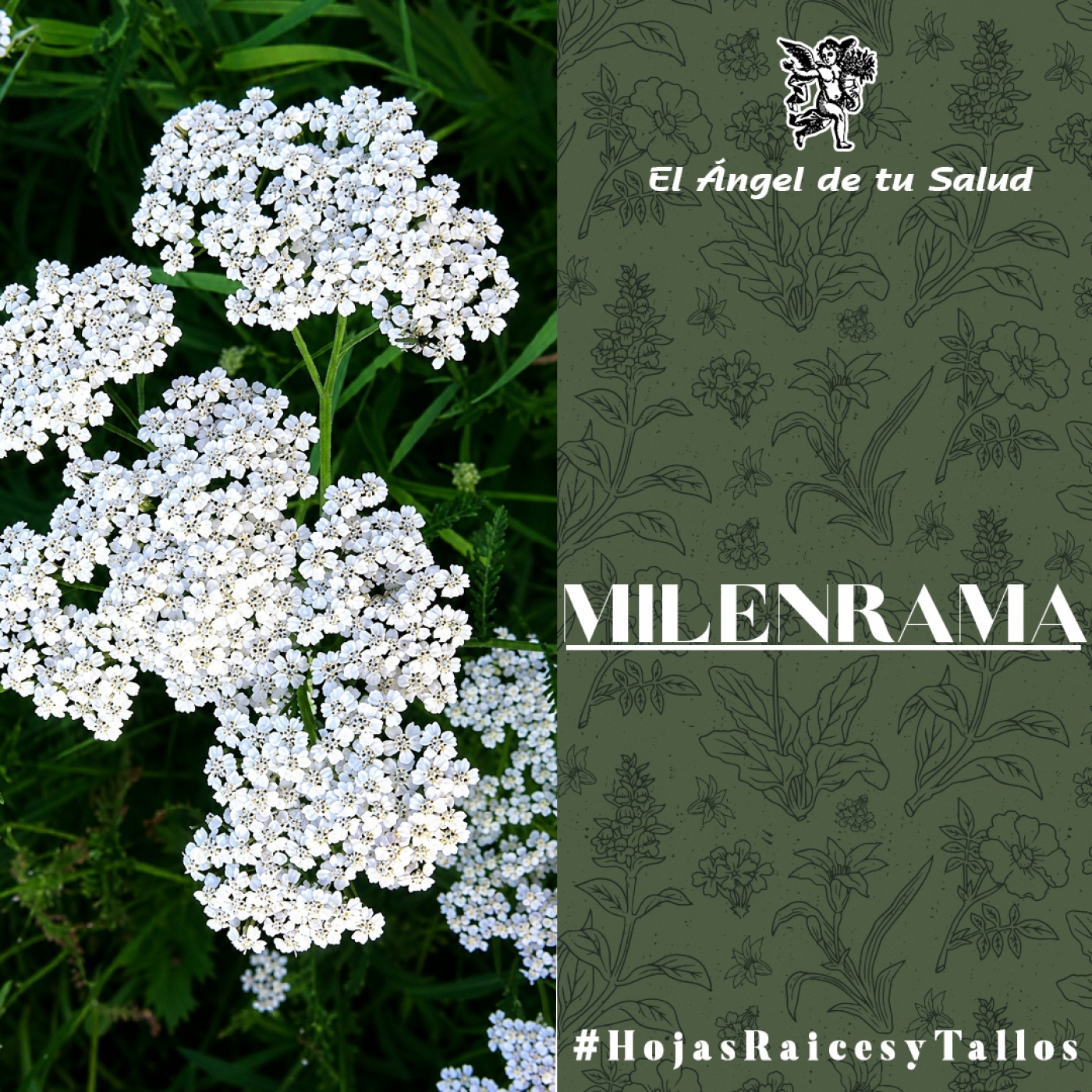 El Ángel de tu Salud - Milenrama** episode artwork