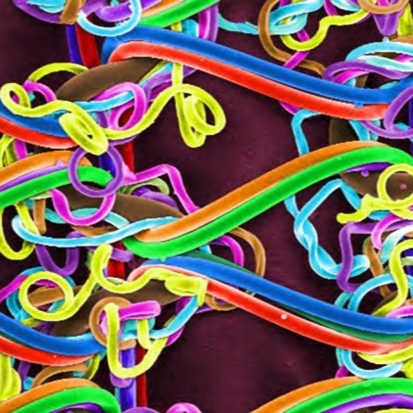 Fotciencia19