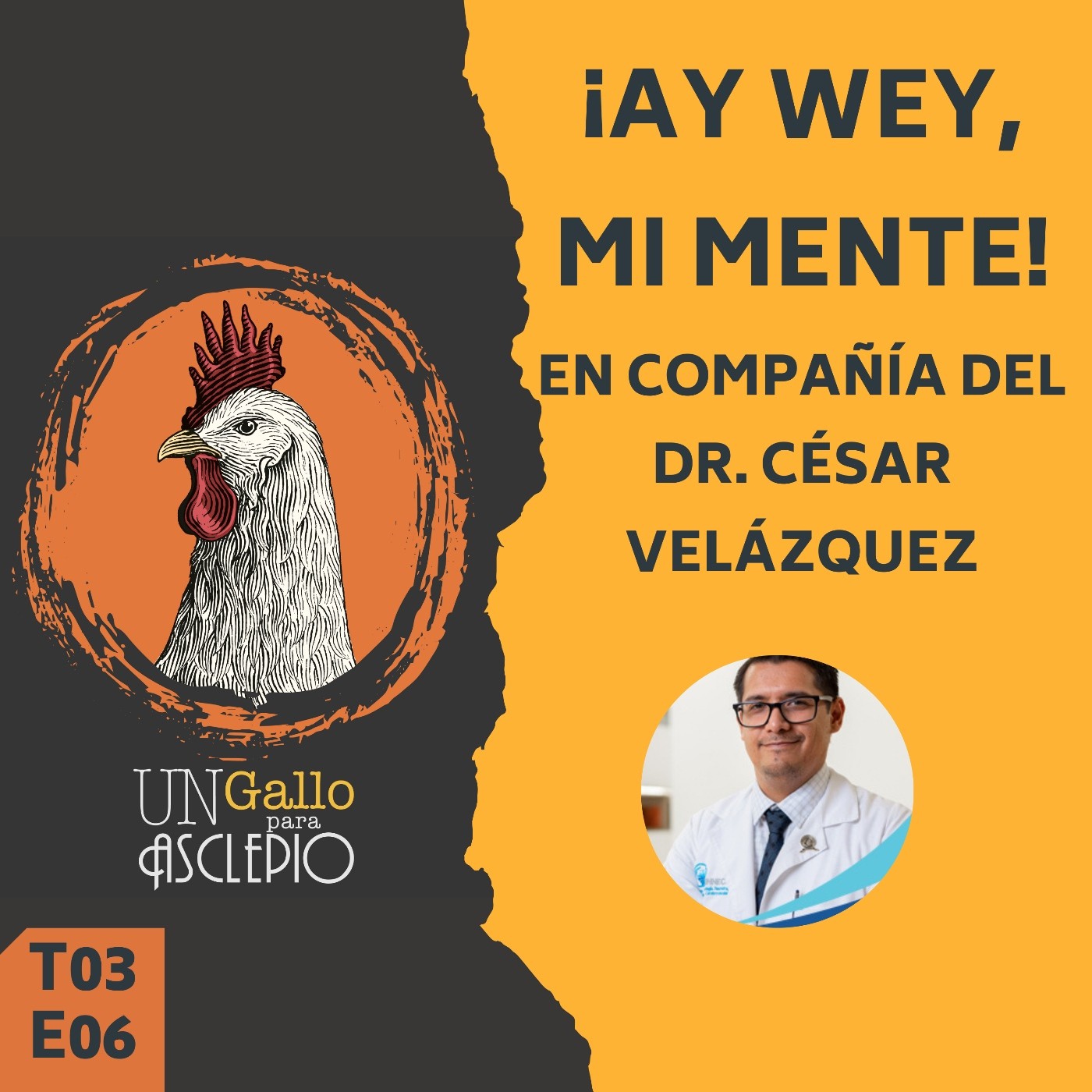 UN GALLO PARA ASCLEPIO