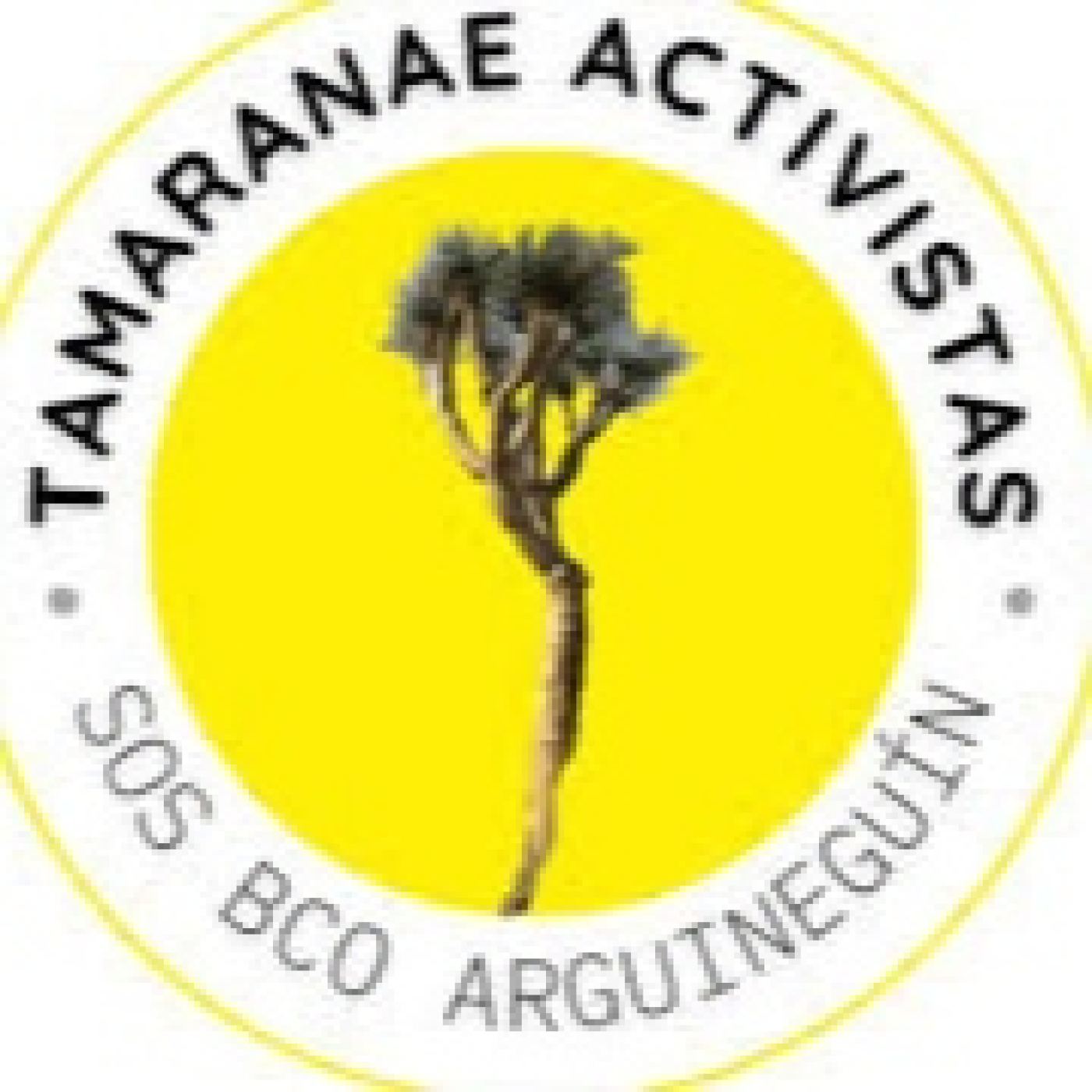 Podcast de radio faro