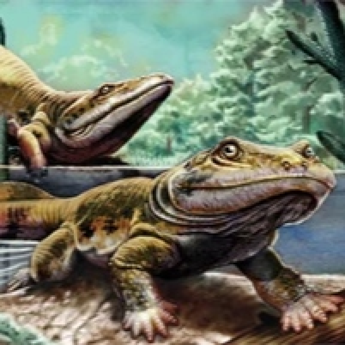 1218 - Biología evolutiva: La evolución de los tetrápodos - Episodio exclusivo para mecenas