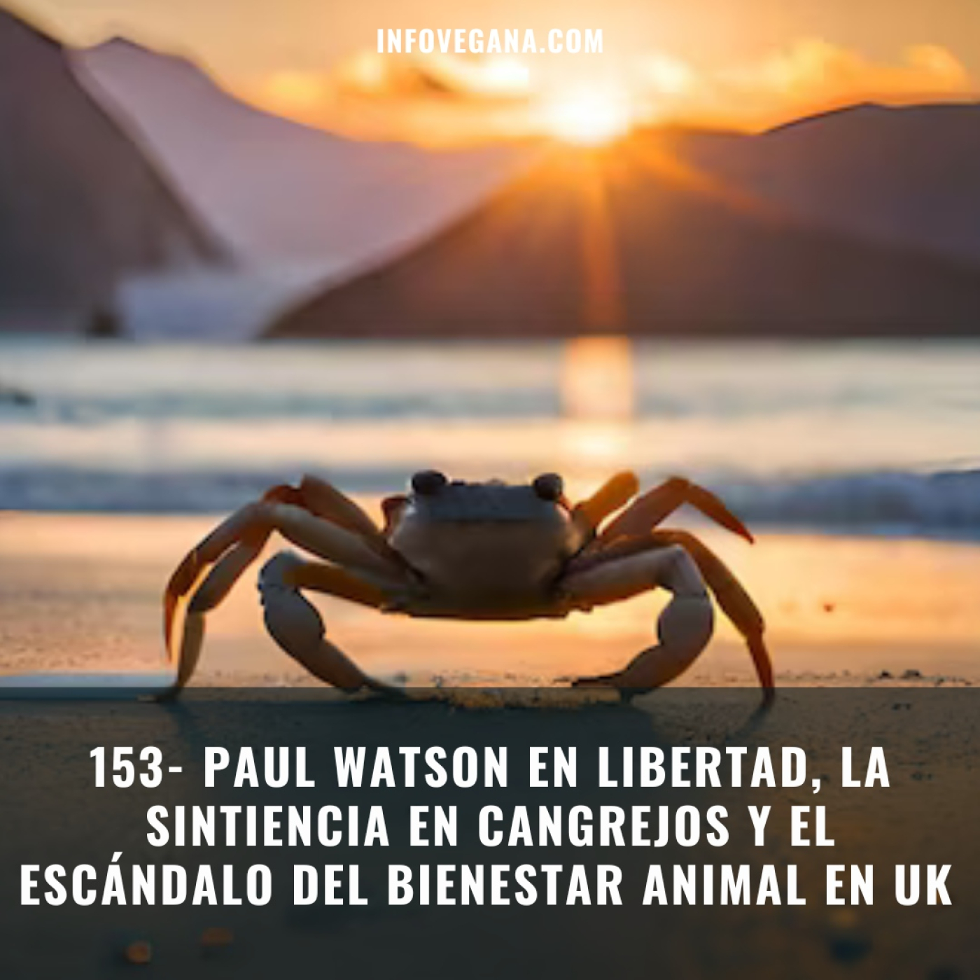 153- PAUL WATSON EN LIBERTAD, LA SINTIENCIA EN CANGREJOS Y EL ESCÁNDALO DEL BIENESTAR ANIMAL EN UK | Infovegana