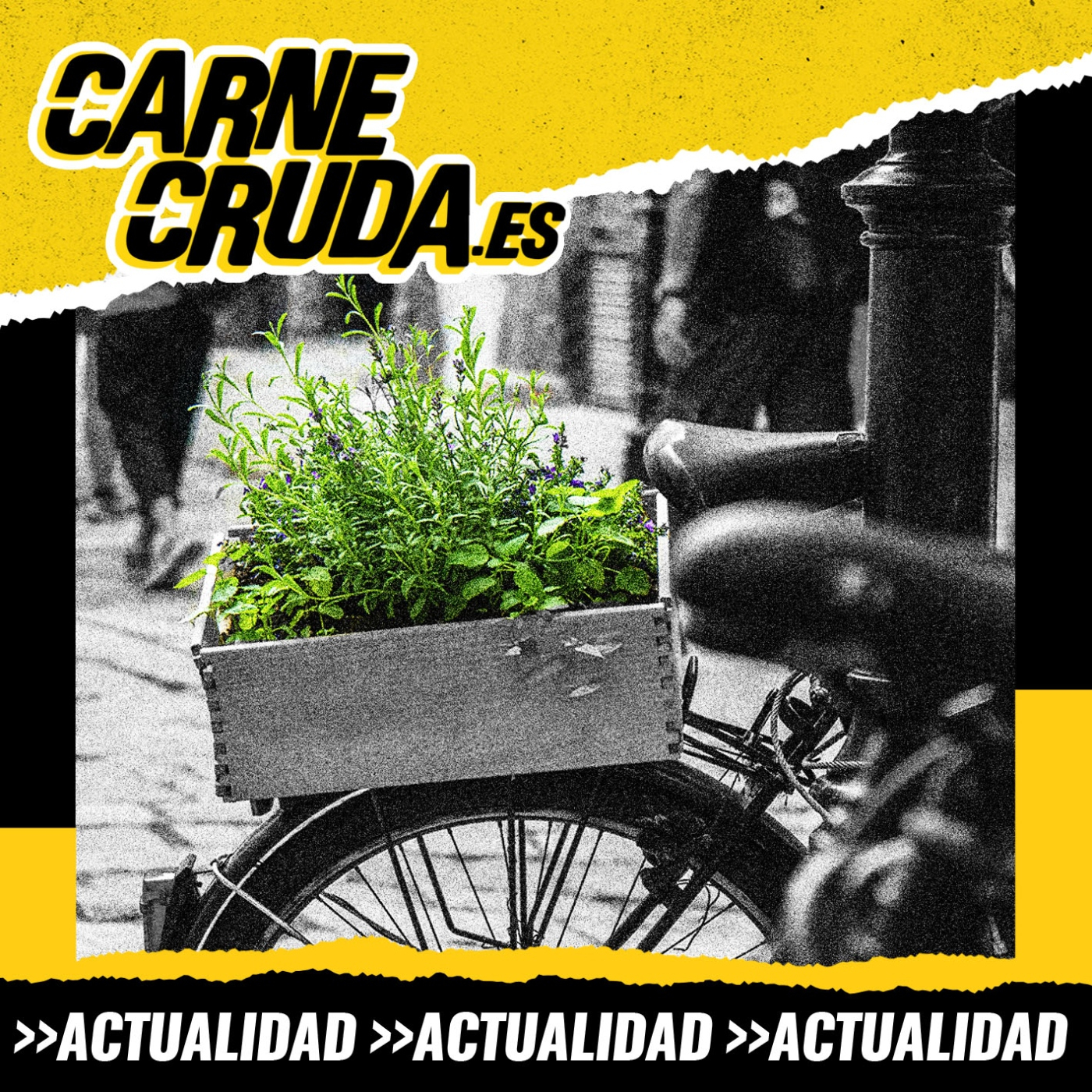 Que no nos consuma el ecoconsumo (CARNE CRUDA #1418)