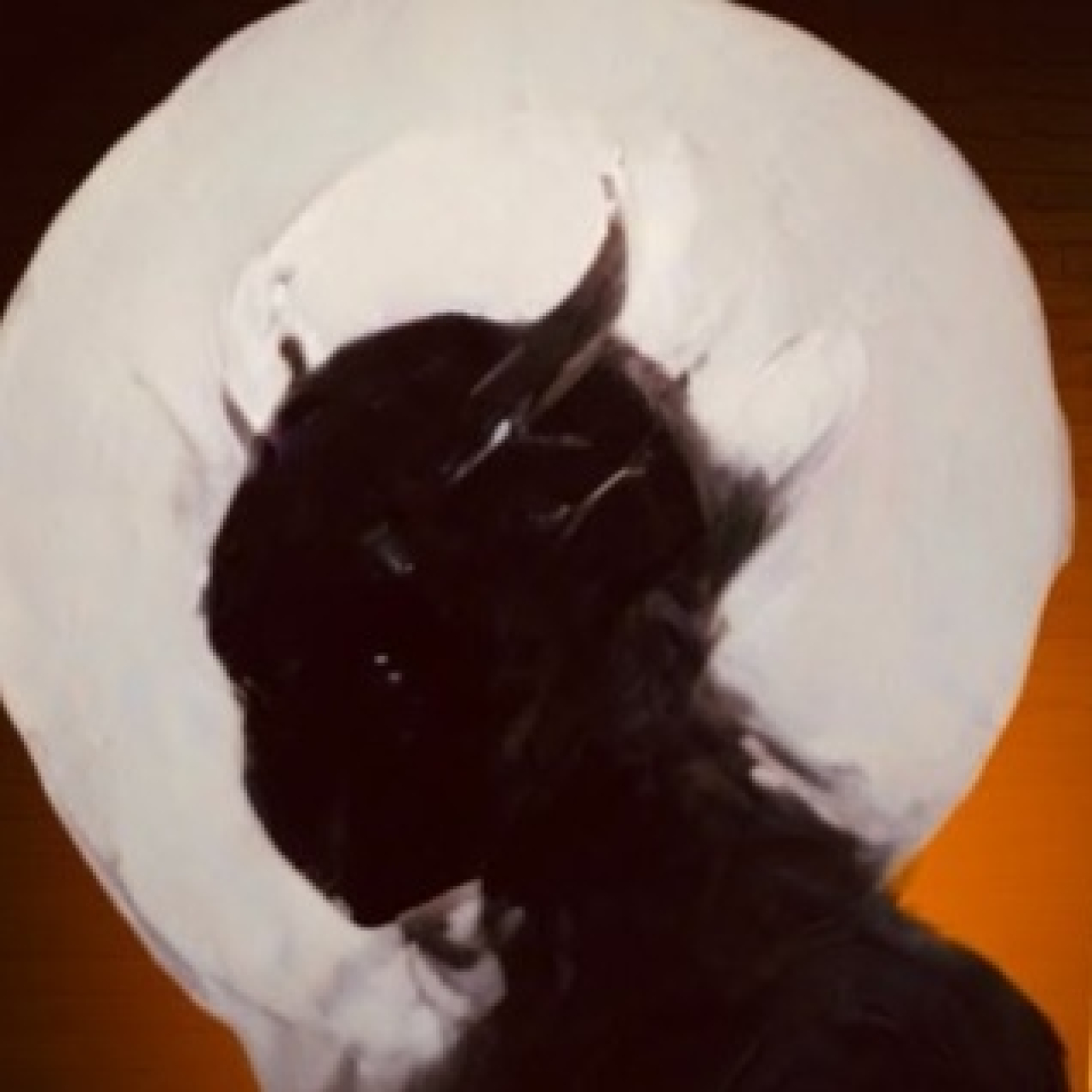 Episodio 78 - Los misteriosos hombres sombra