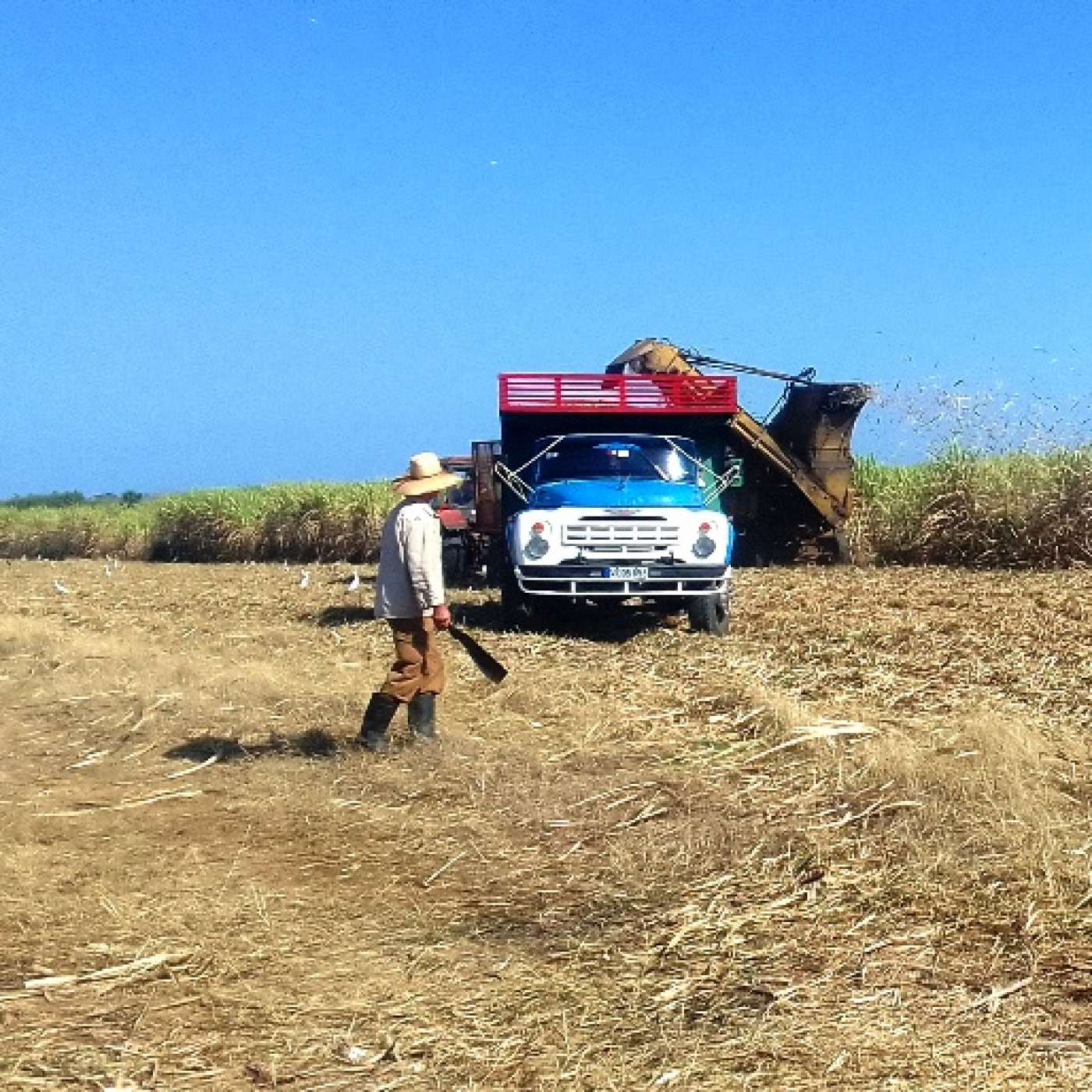 Fortalecen Cooperativa cienfueguera de Producción Agropecuaria Nicaragua Libre con Proyecto de Colaboración Japonés