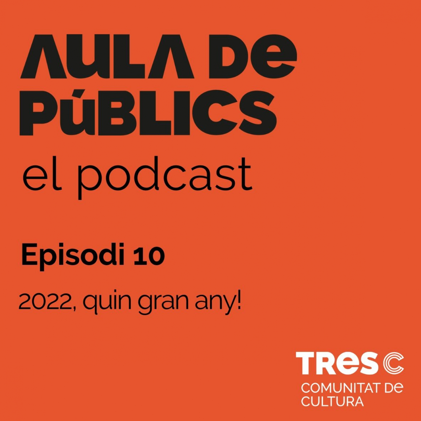El Podcast de l\'Aula de Públics