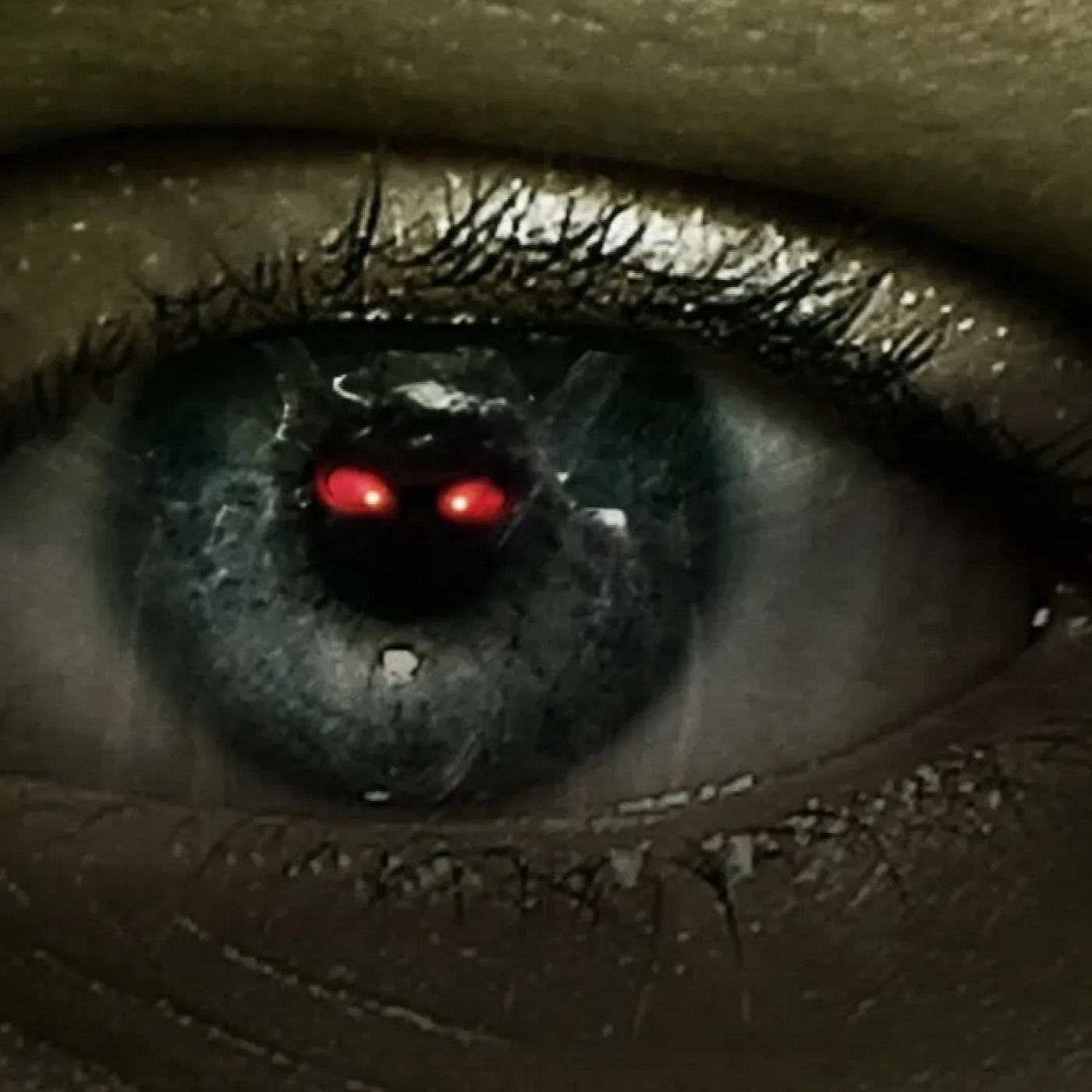 Misterios sin resolver T4: El nuevo hombre polilla