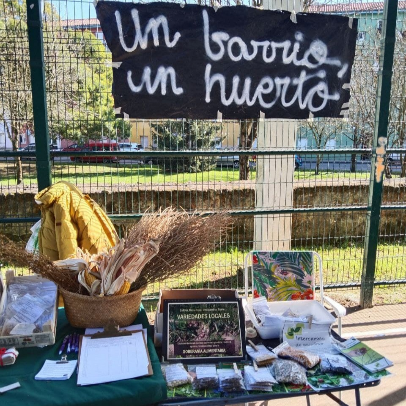 El Pájaro Observador