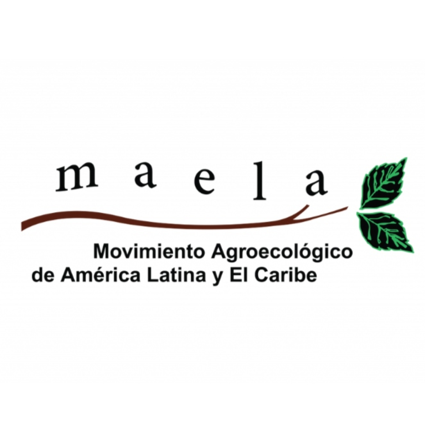 Asamblea Maela Cono Sur 2025 Paraguay : Cobertura medios de comunicación. episode artwork