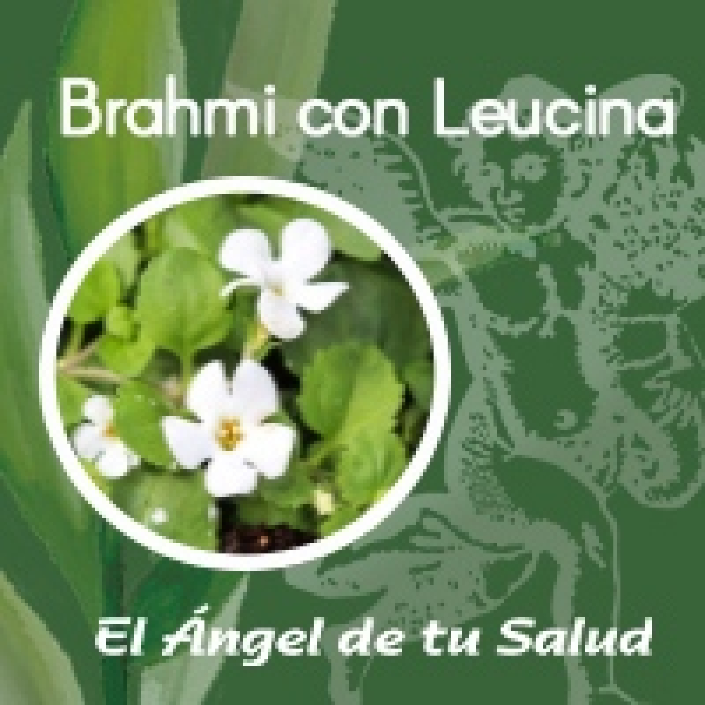 El Ángel de tu Salud - Brahmi con Leucina ** episode artwork