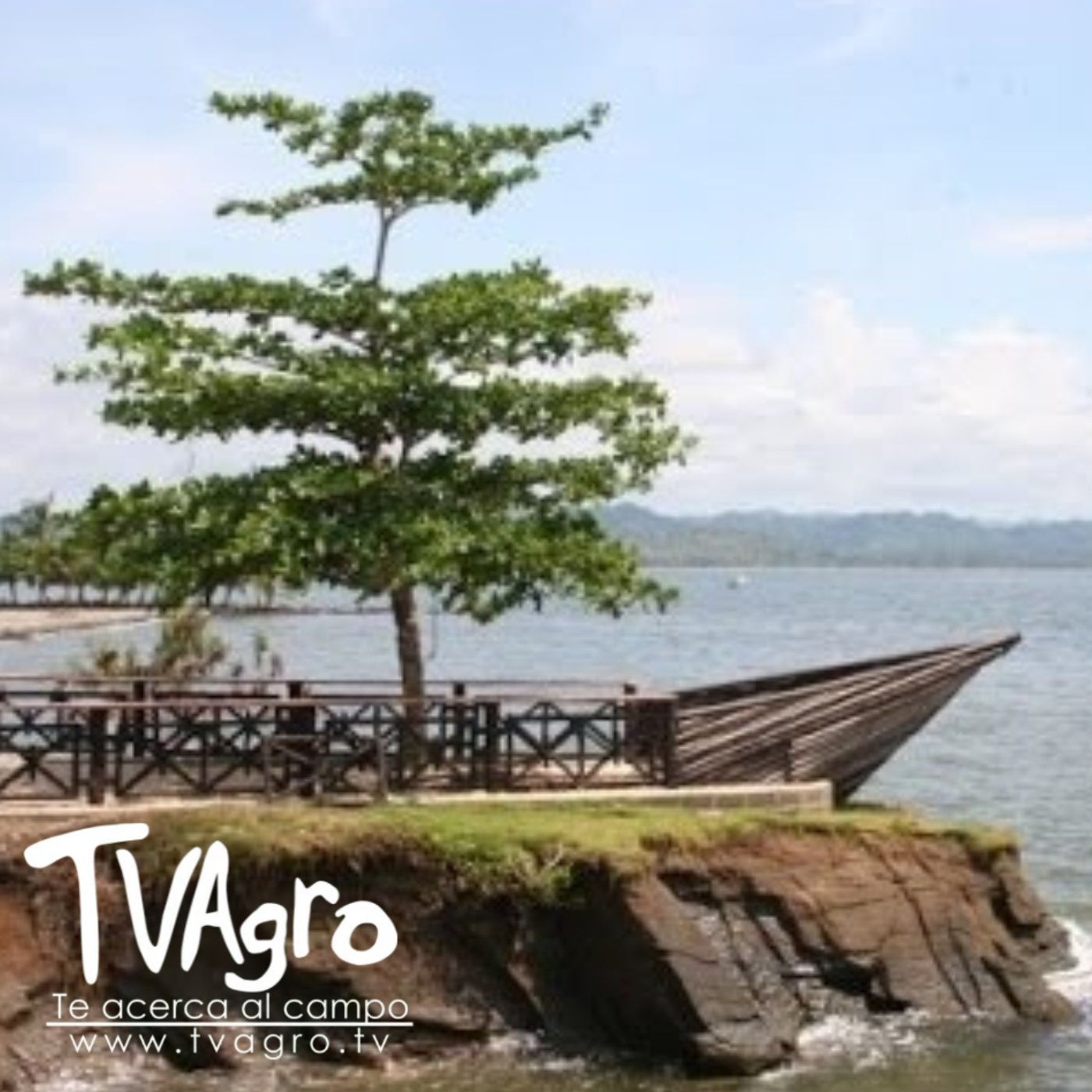 TV AGRO