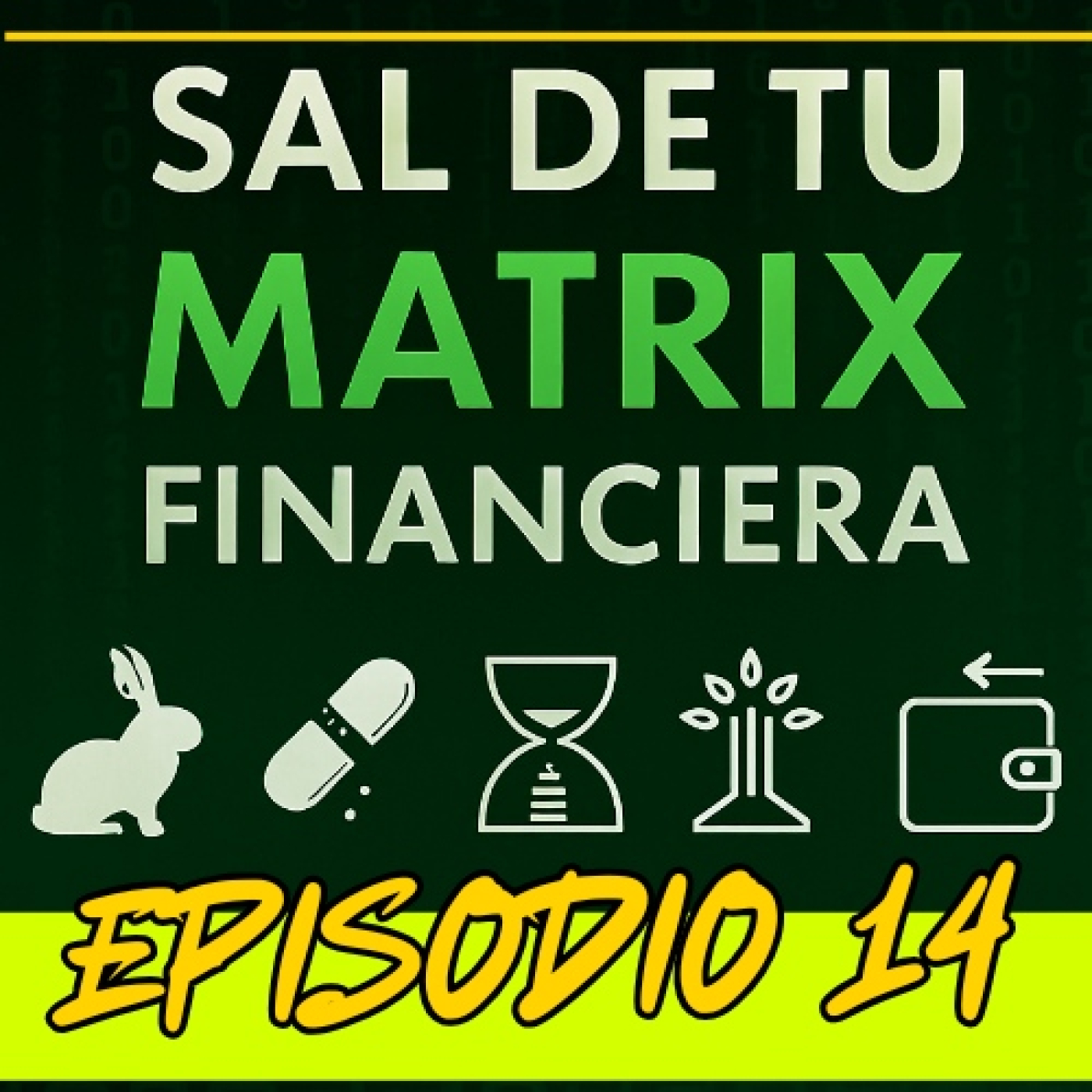 Sal de tu Matrix Financiera: Libertad Financiera