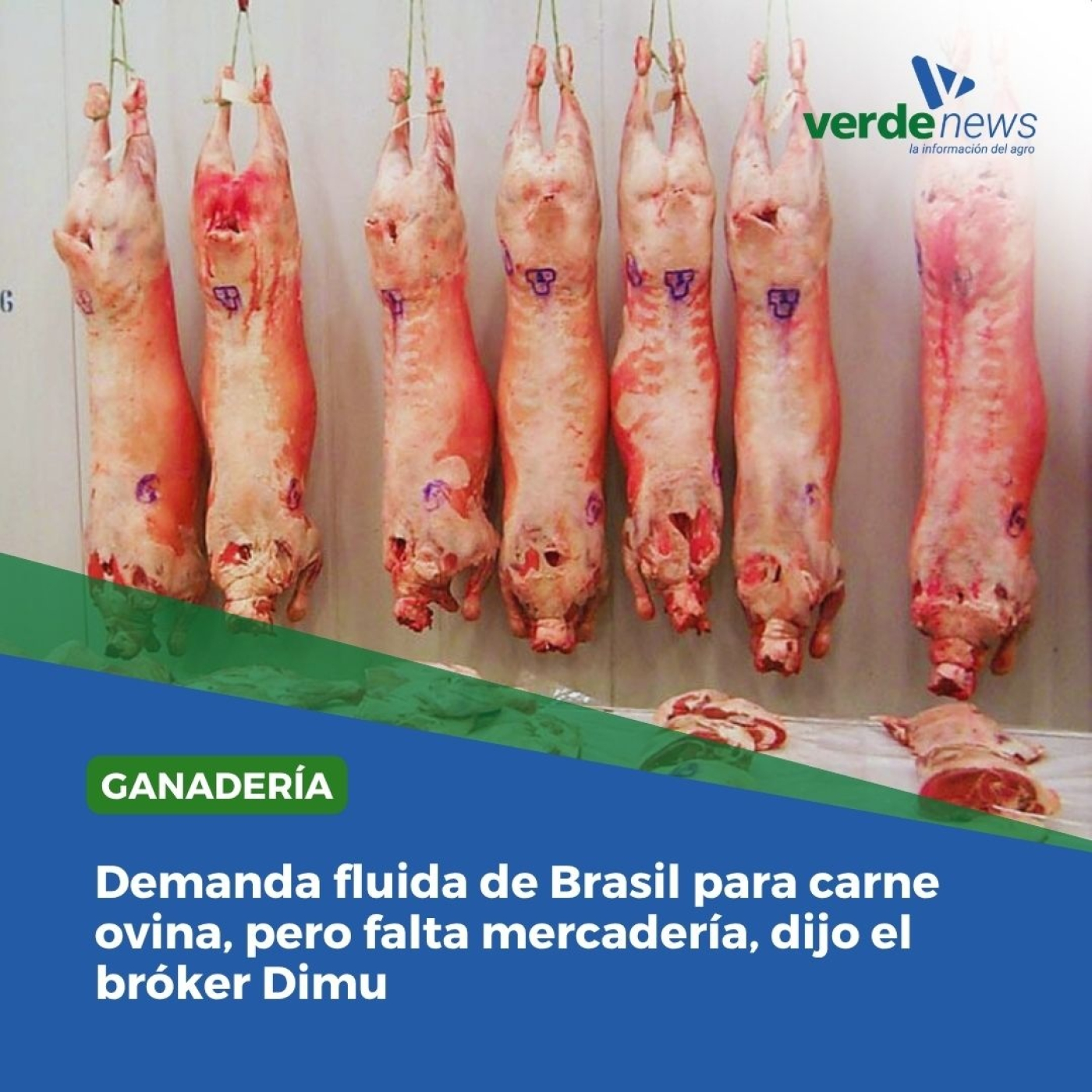 Jorge Dimu - Broker de carnes -23/07/25 episode artwork