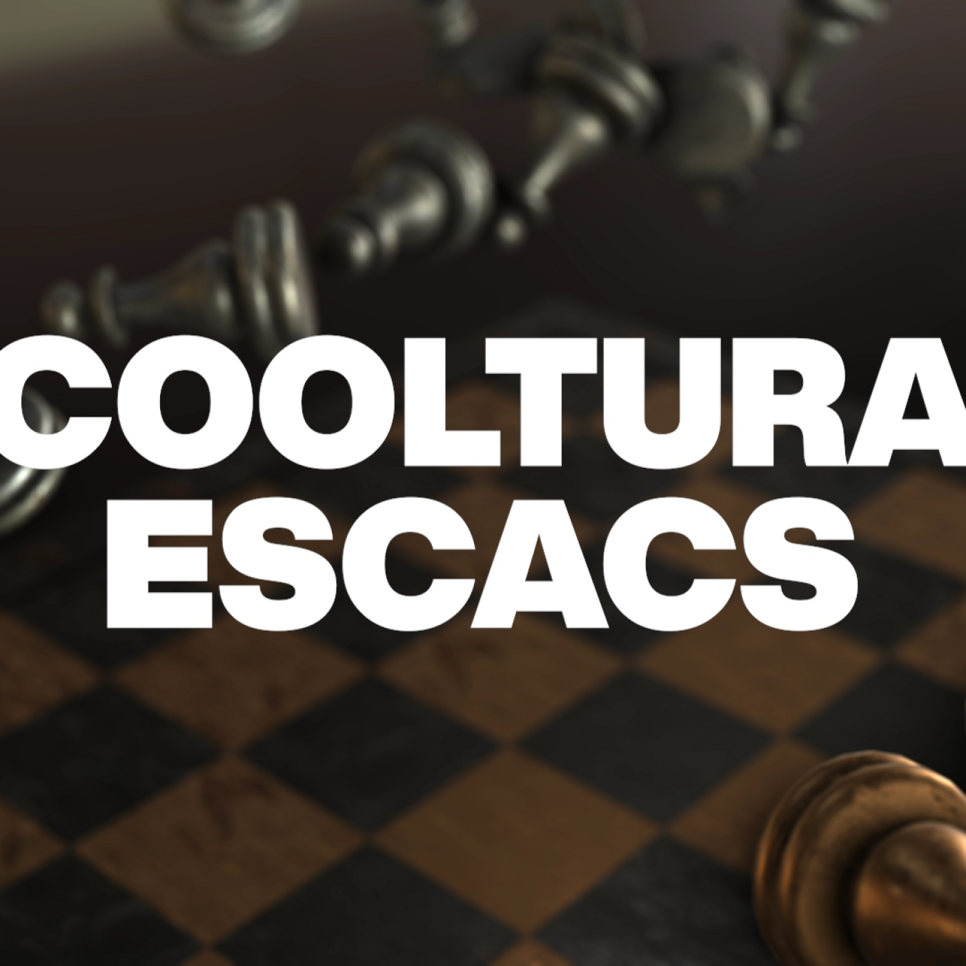 COOLTURA ESCACS #258 130625