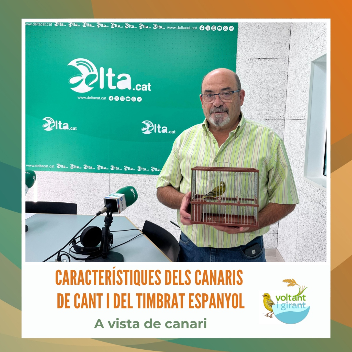 Característiques dels canaris de cant i del timbrat espanyol episode artwork