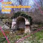 embed image