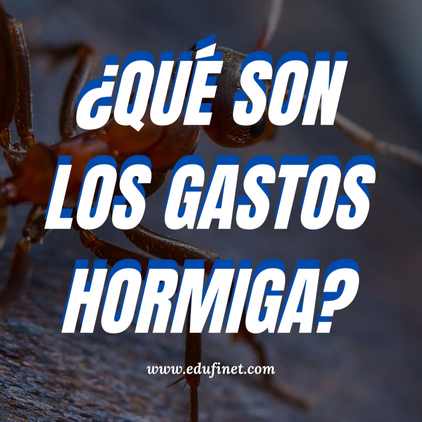 Los Podcast de Educación Financiera de Edufinet