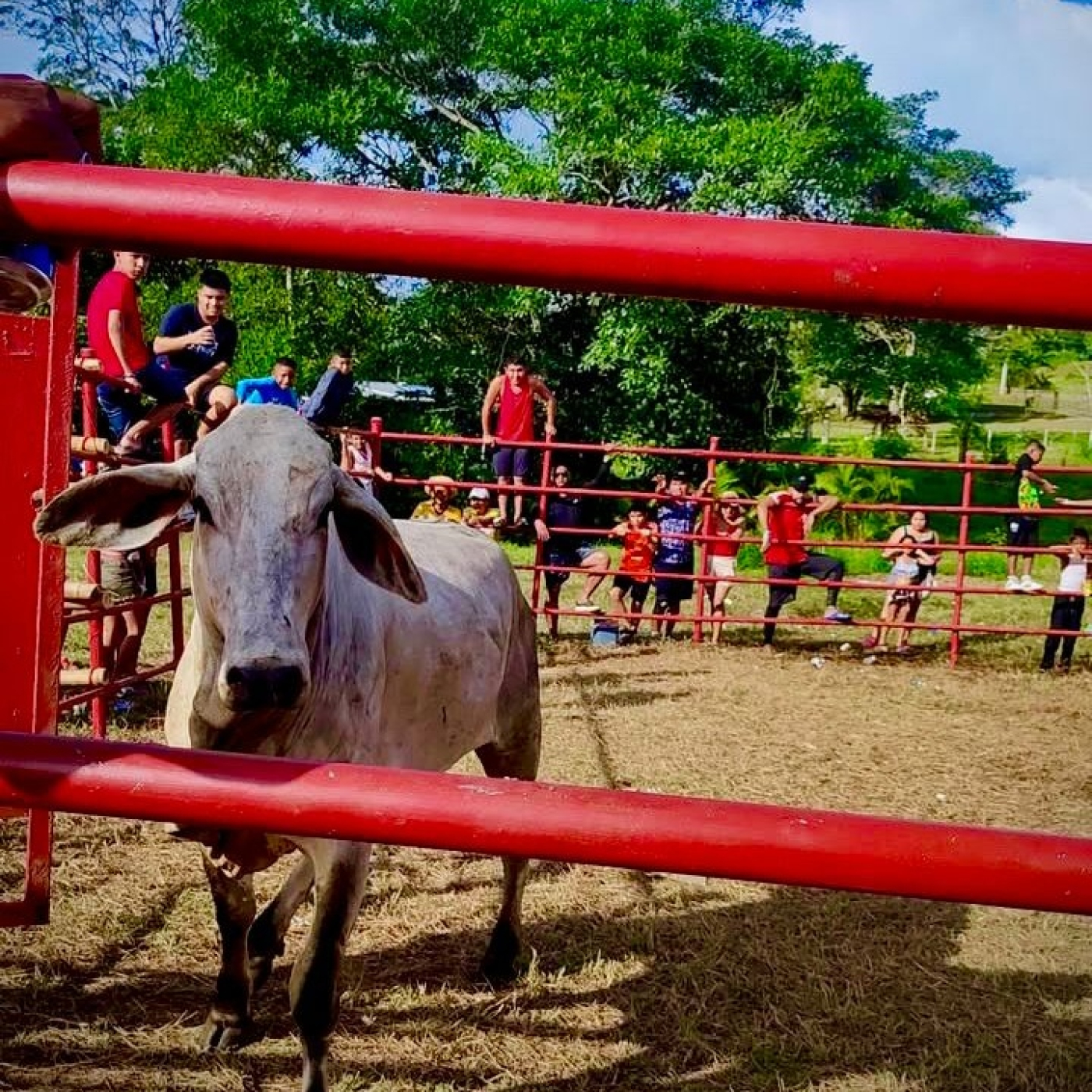 Éxitos Del Típico Panameño Parte 3: Cultura, Tradición y Costumbres. (Generación Actual)