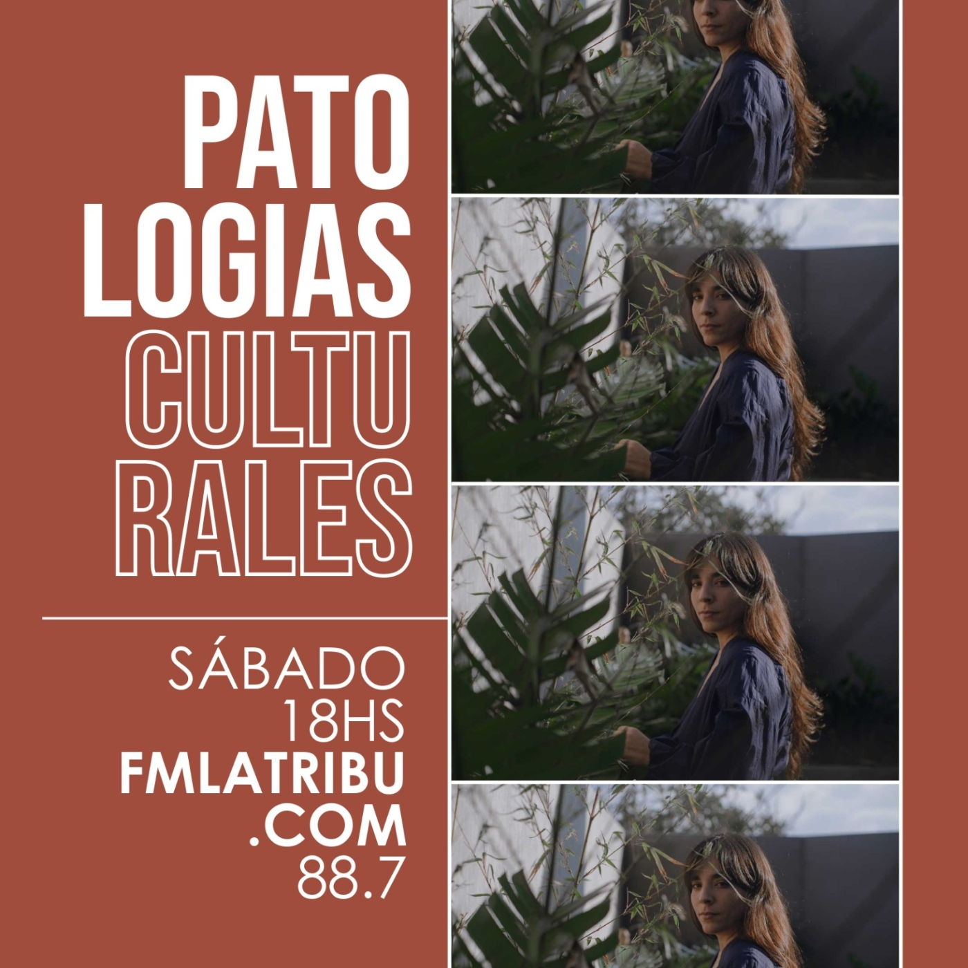 Patologías Culturales