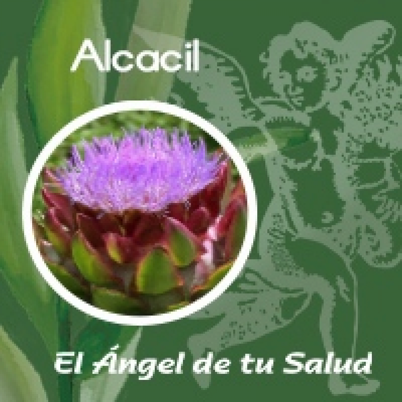 El Ángel de tu Salud - Alcacil ** episode artwork