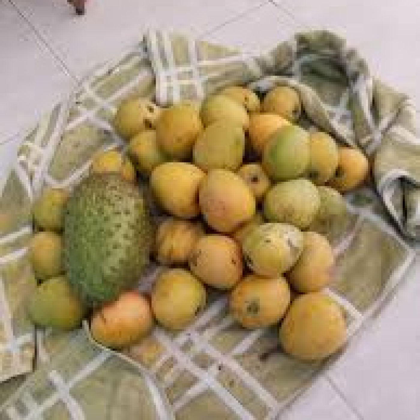 Dulce cura: secretos medicinales del mango y la guanábana