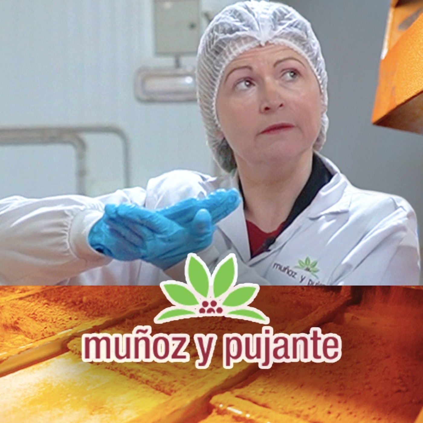 84. ¿Cómo se Hace el Pimentón? Así es su Proceso de Elaboración dentro de la Industria Alimentaria