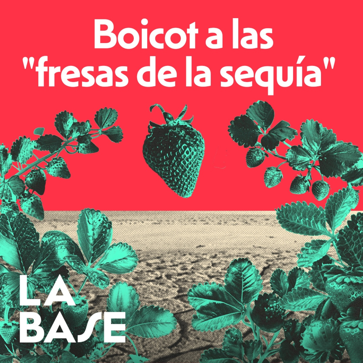 ALEMANIA saca los Colores a la FRESA de DOÑANA | La Base 3x42