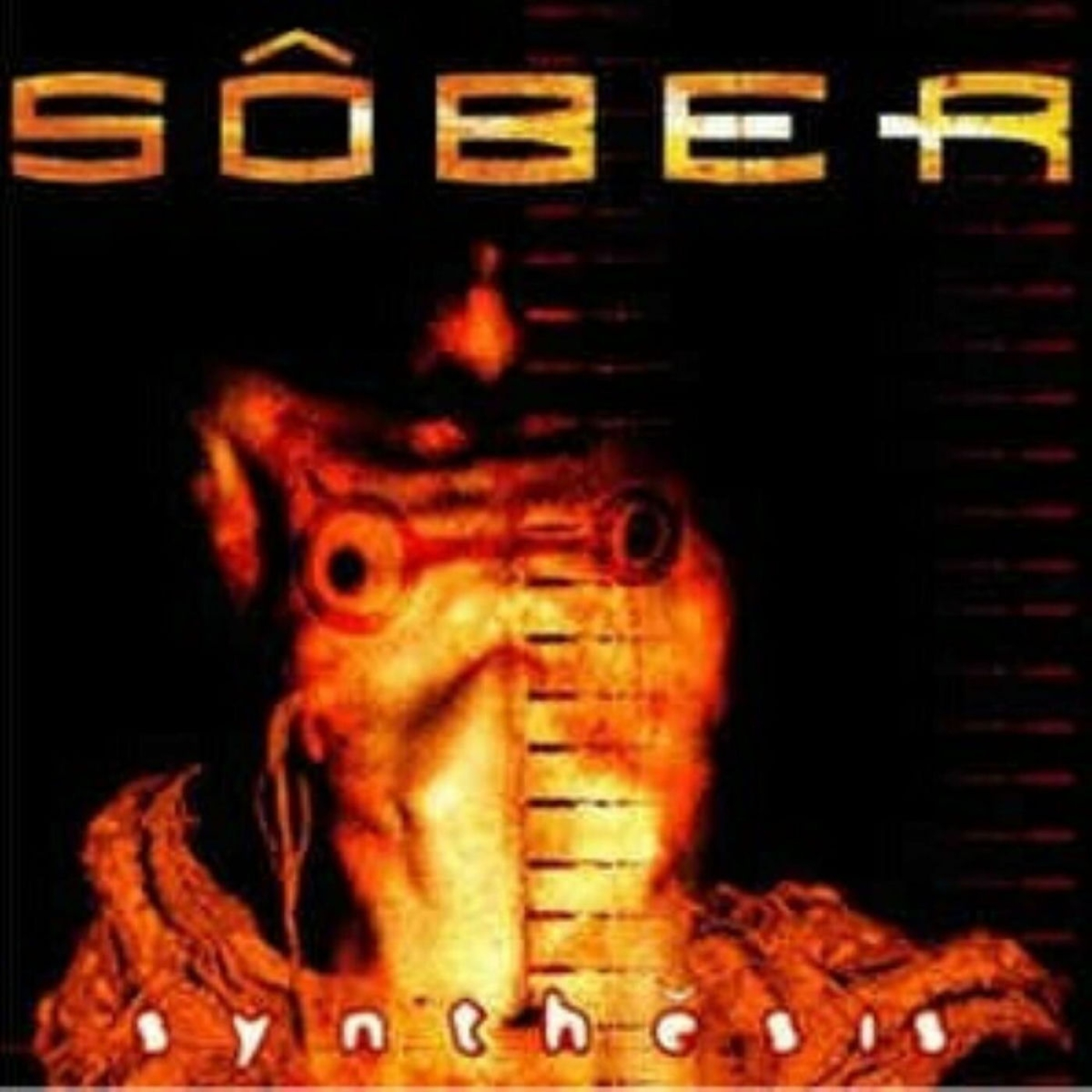 Sôber - 2001 - Synthesis