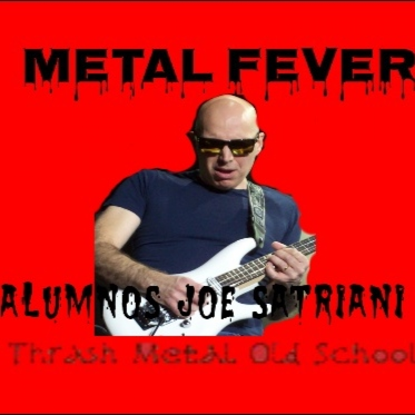 METAL FEVER