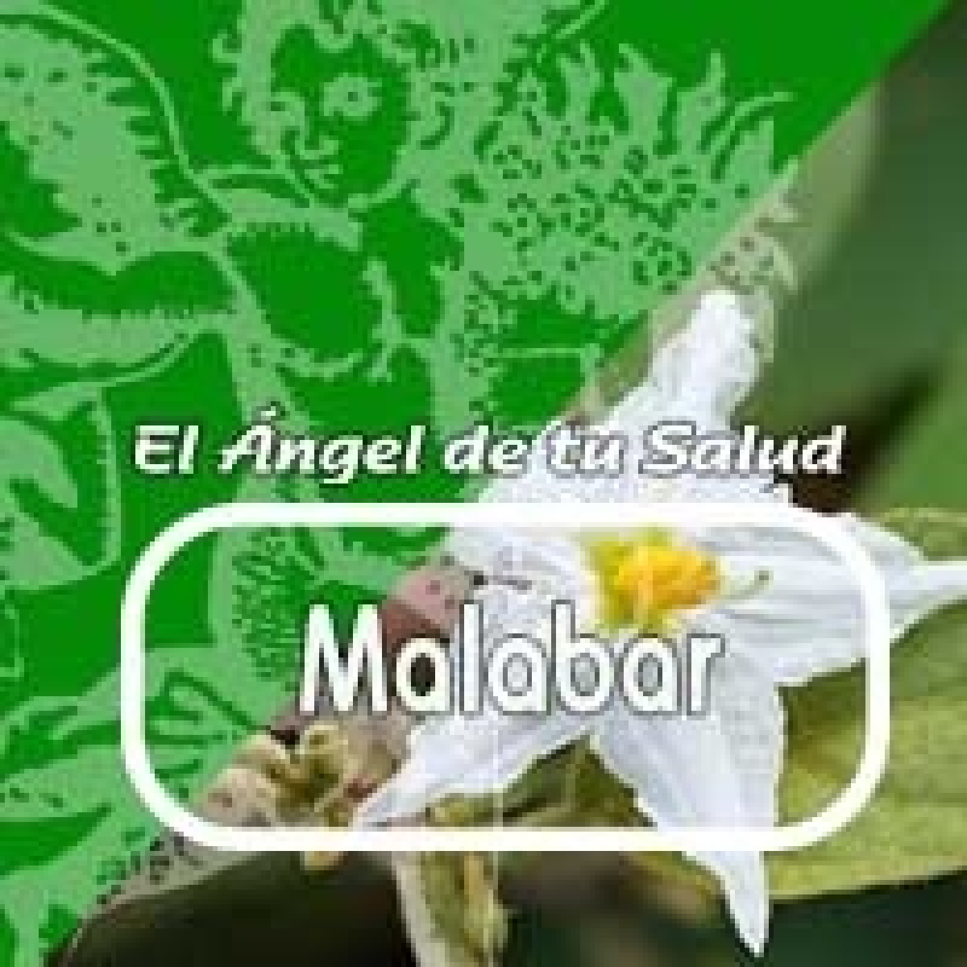 El Ángel de tu Salud - MALABAR***