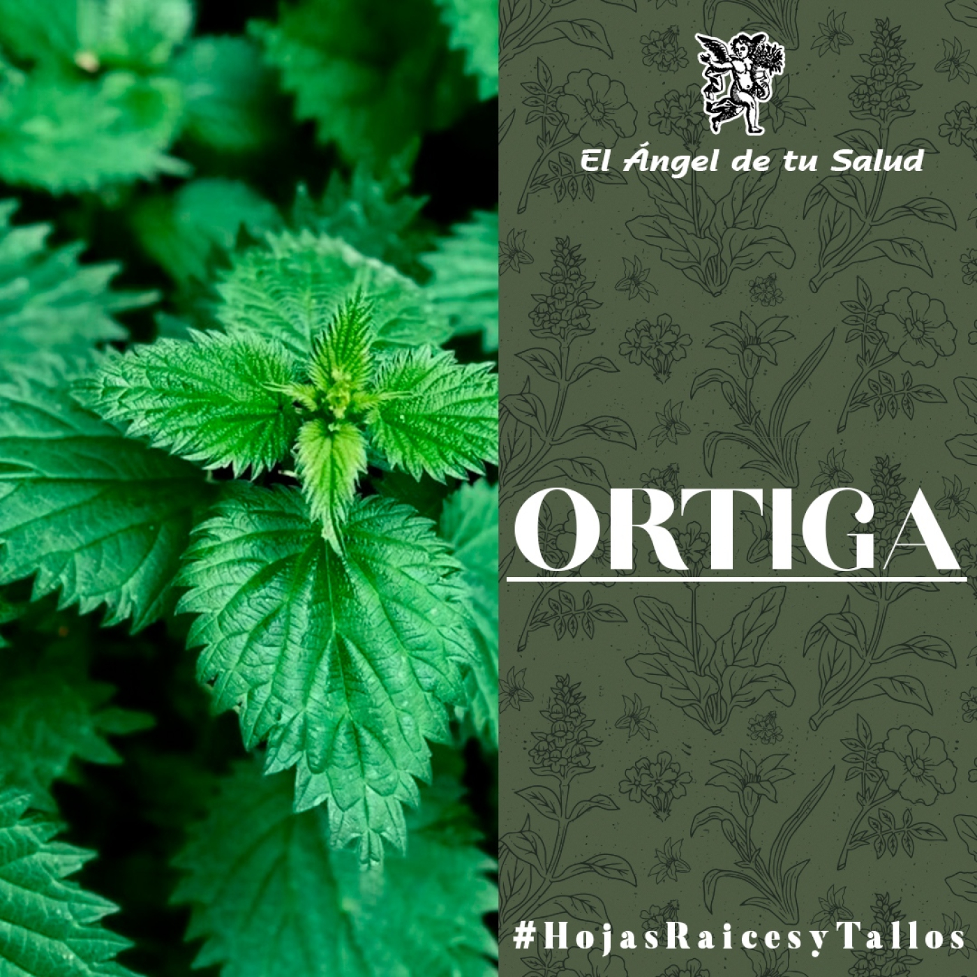 El Ángel de tu Salud - Ortiga** episode artwork