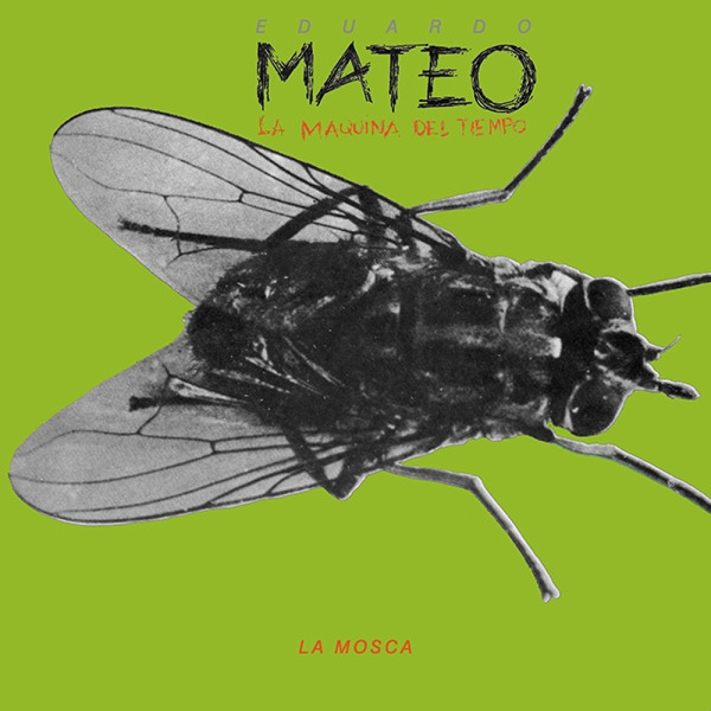 Disco 25 - Eduardo Mateo: "La Mosca" episode artwork