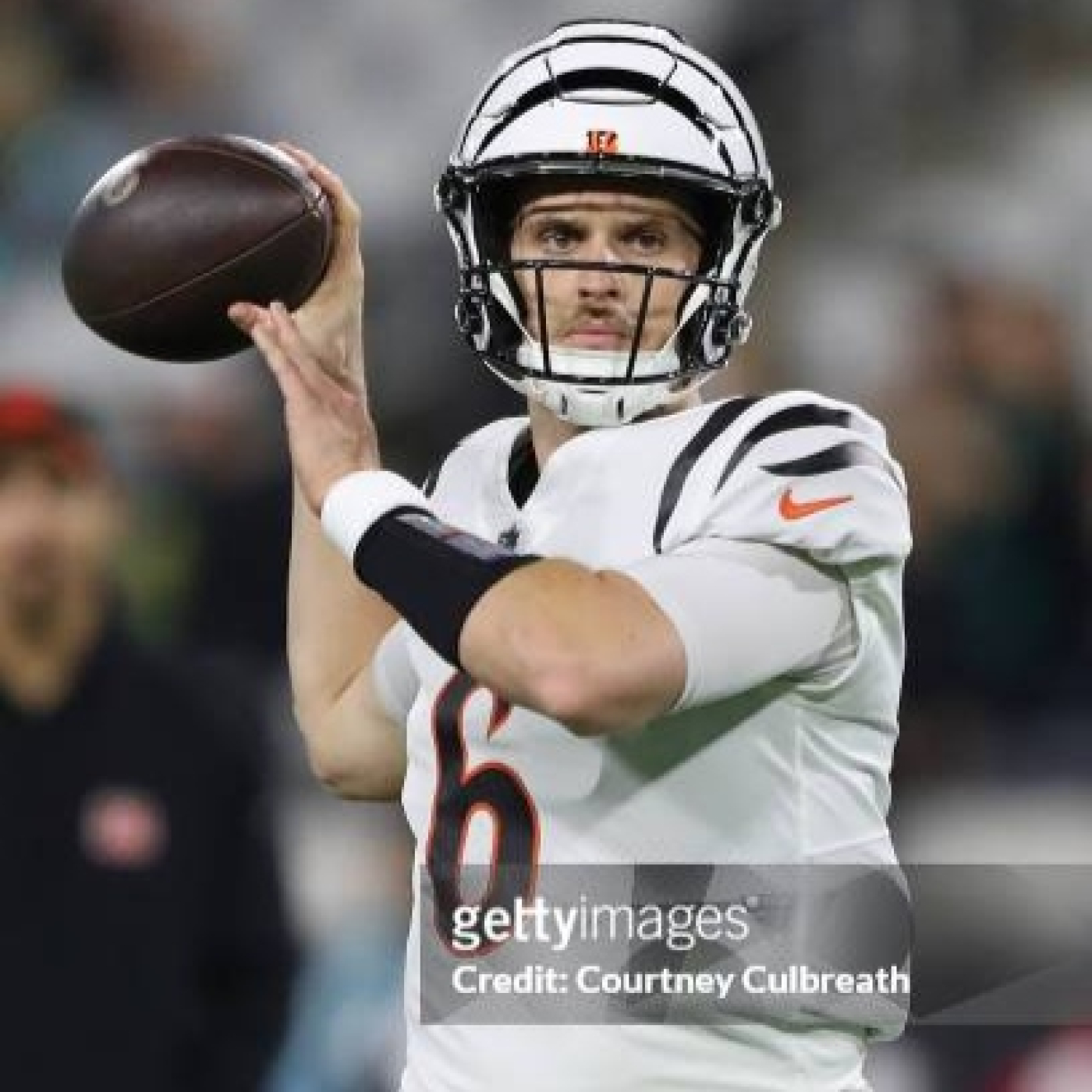 La Jungla Hispana - Bengals.es