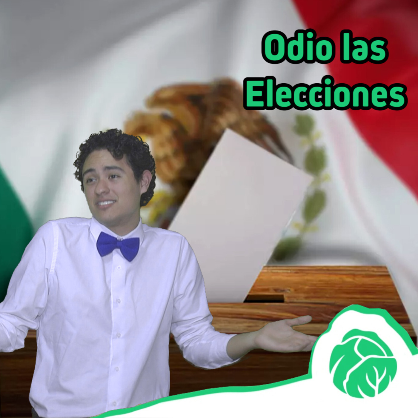 Las campañas electorales son despreciables episode artwork